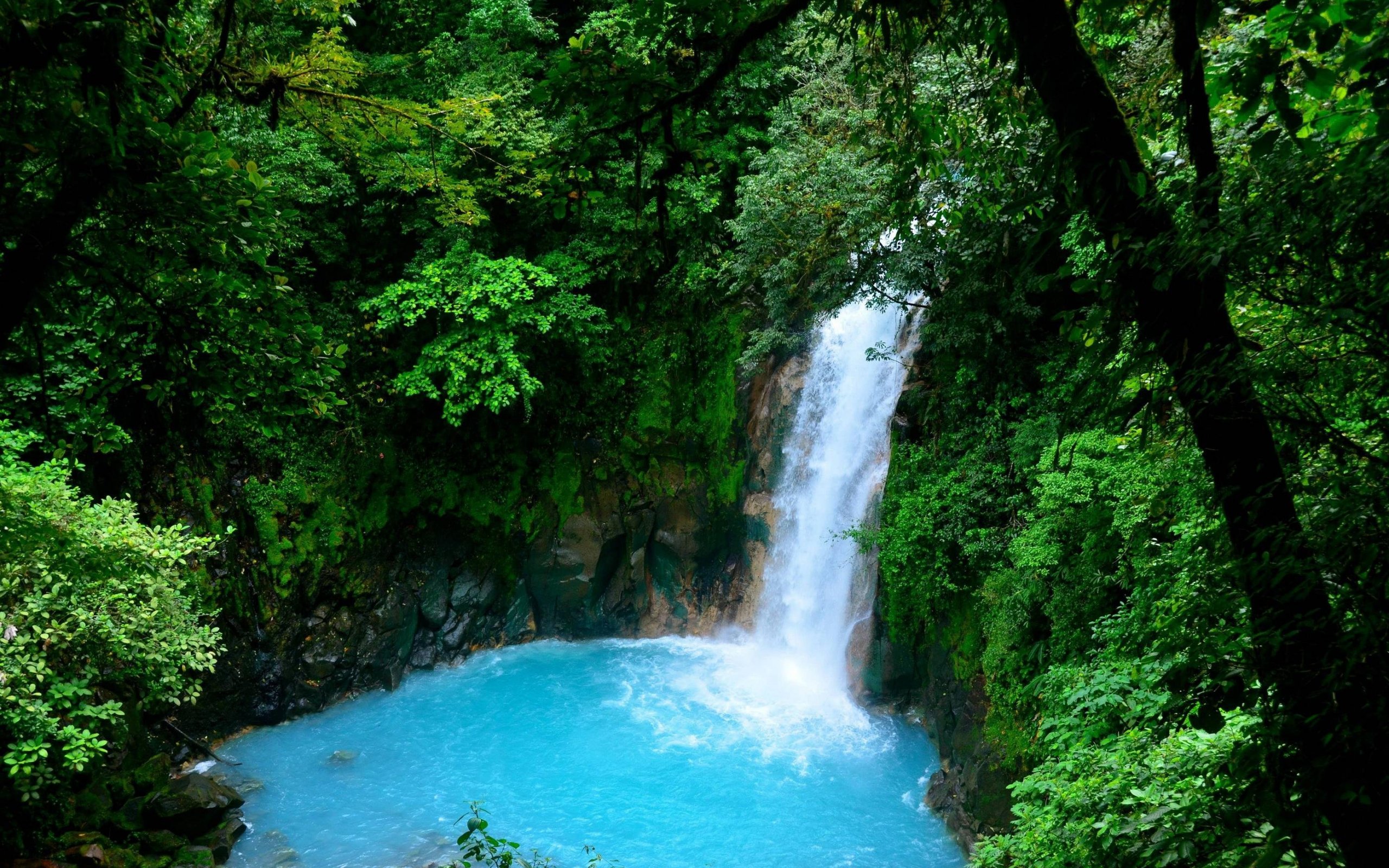 Handy-Wallpaper Wasserfälle, Wasserfall, Wald, Baum, Blatt, Erde/natur kostenlos herunterladen.