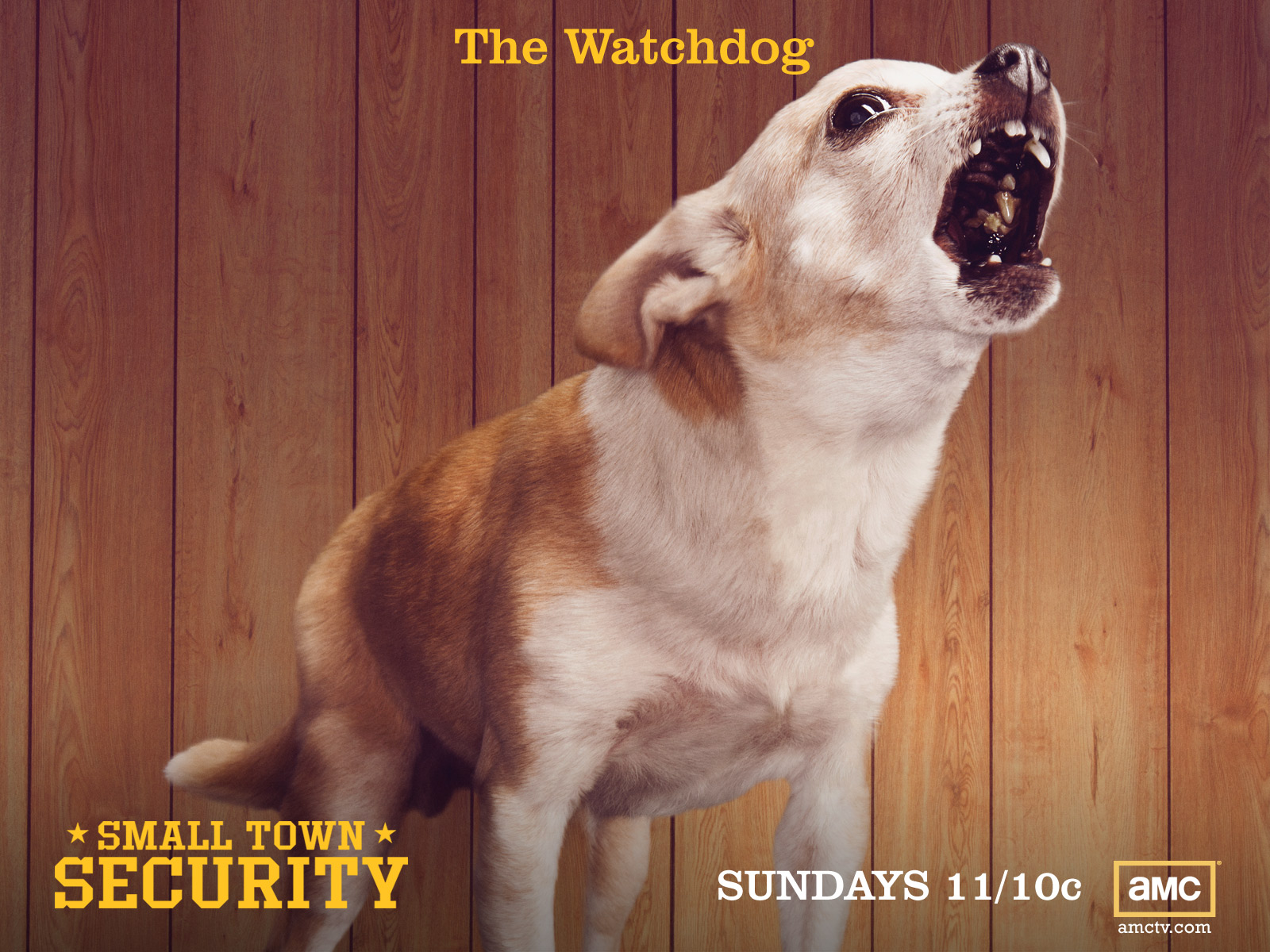 tv show, small town security, dog, security