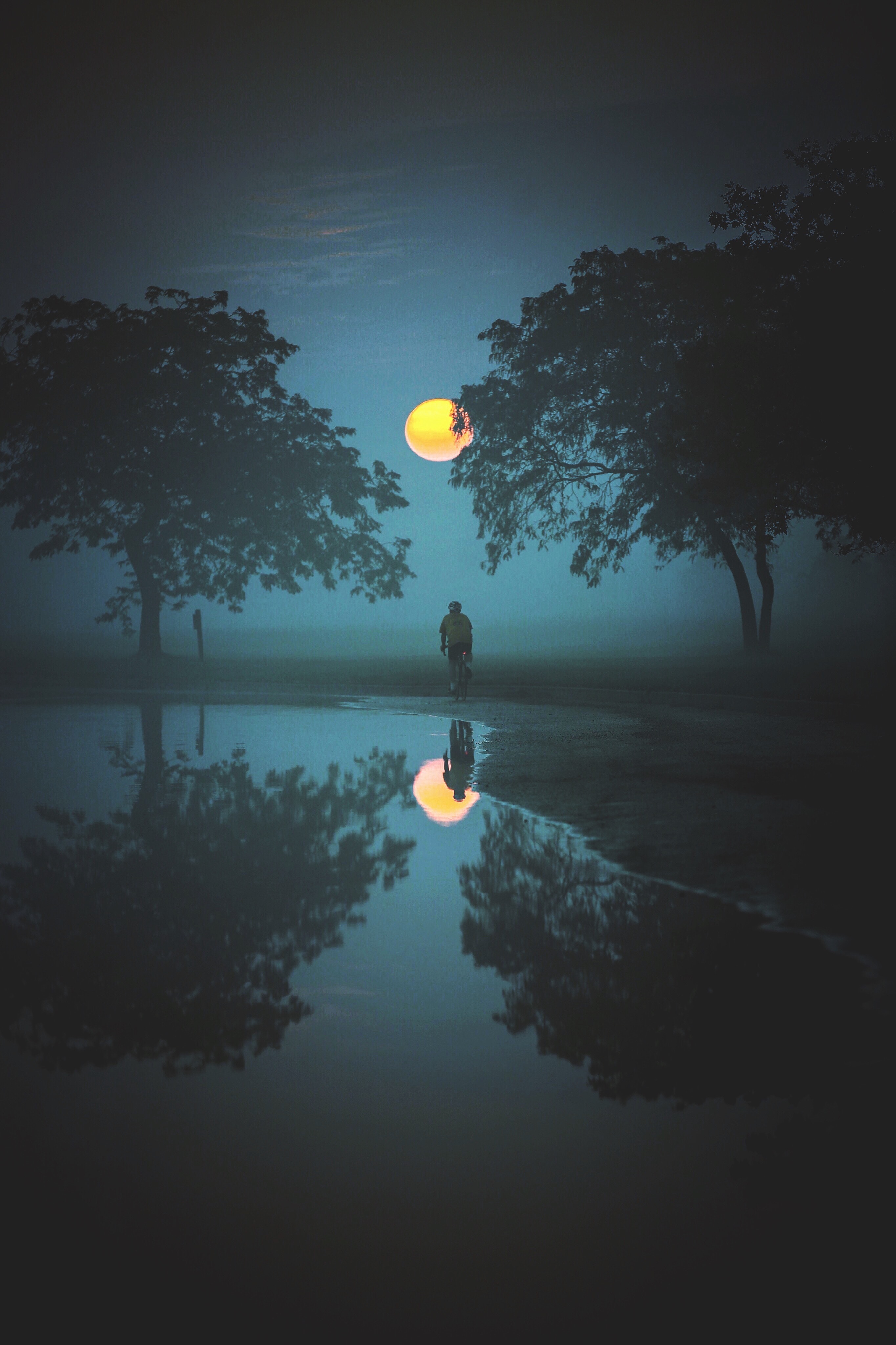 reflection, moon, cyclist, nature, water, trees, fog mobile wallpaper