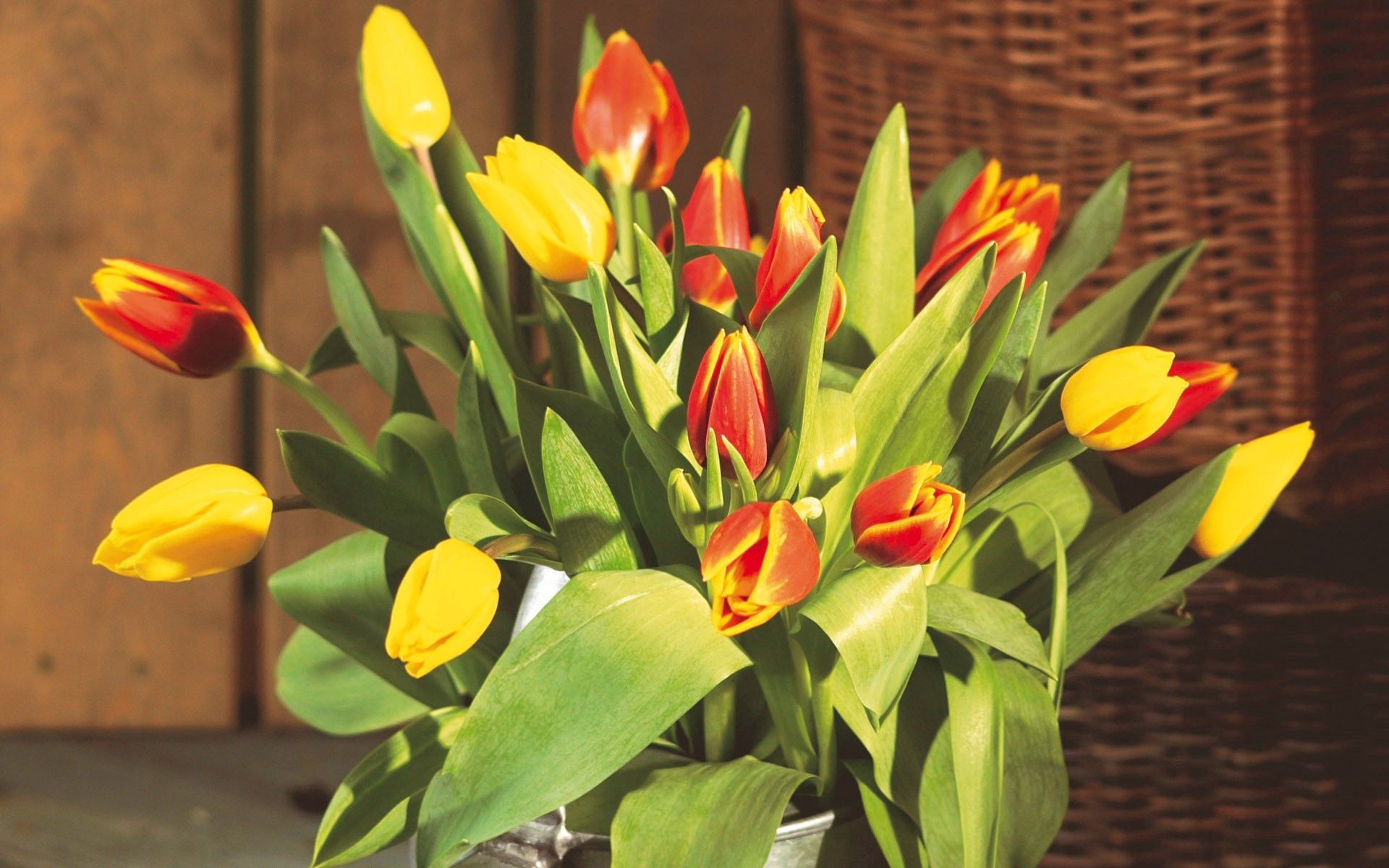 flowers, tulips, greens, bouquet, buds, large, big, bucket