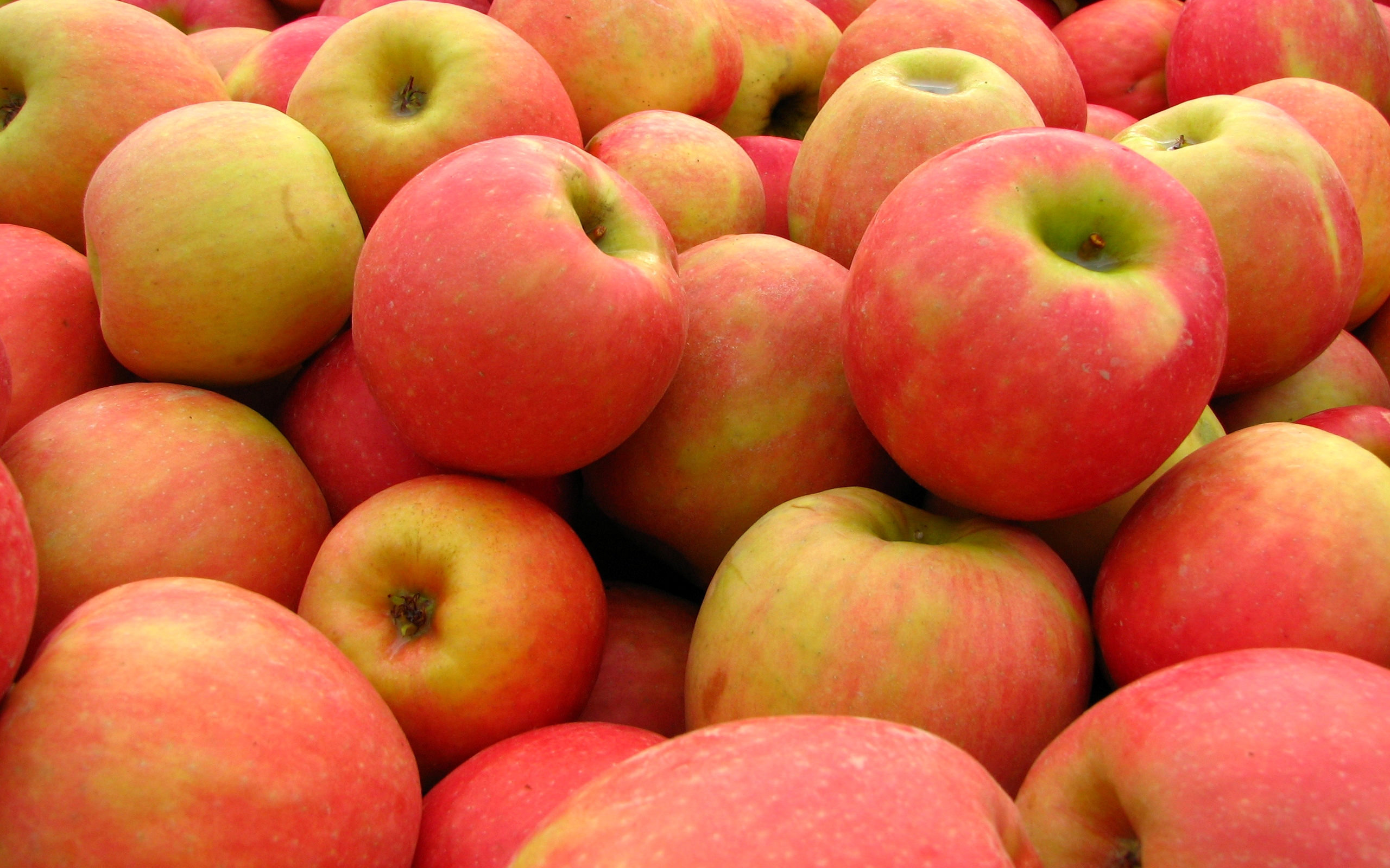 Handy-Wallpaper Früchte, Nahrungsmittel, Apfel kostenlos herunterladen.