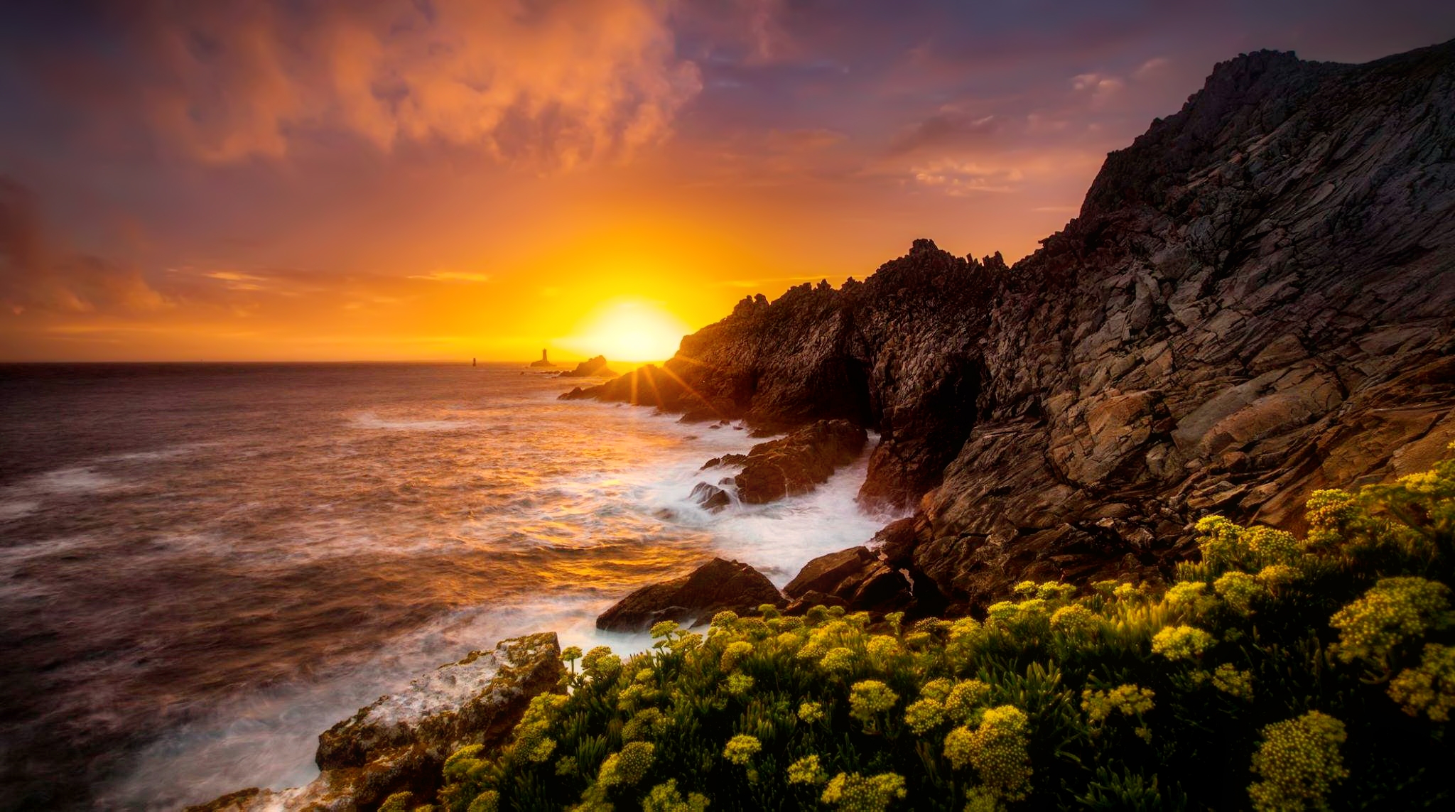 Free download wallpaper Sunset, Sea, Horizon, Flower, Coast, Ocean, Earth, Coastline on your PC desktop