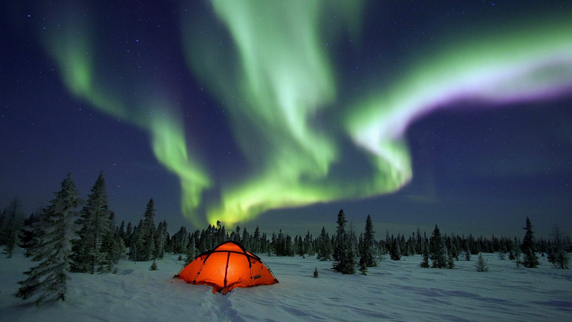 777776 descargar imagen aurora boreal, fotografía, acampar, luz, cielo, nieve, cielo estrellado, tienda, invierno: fondos de pantalla y protectores de pantalla gratis