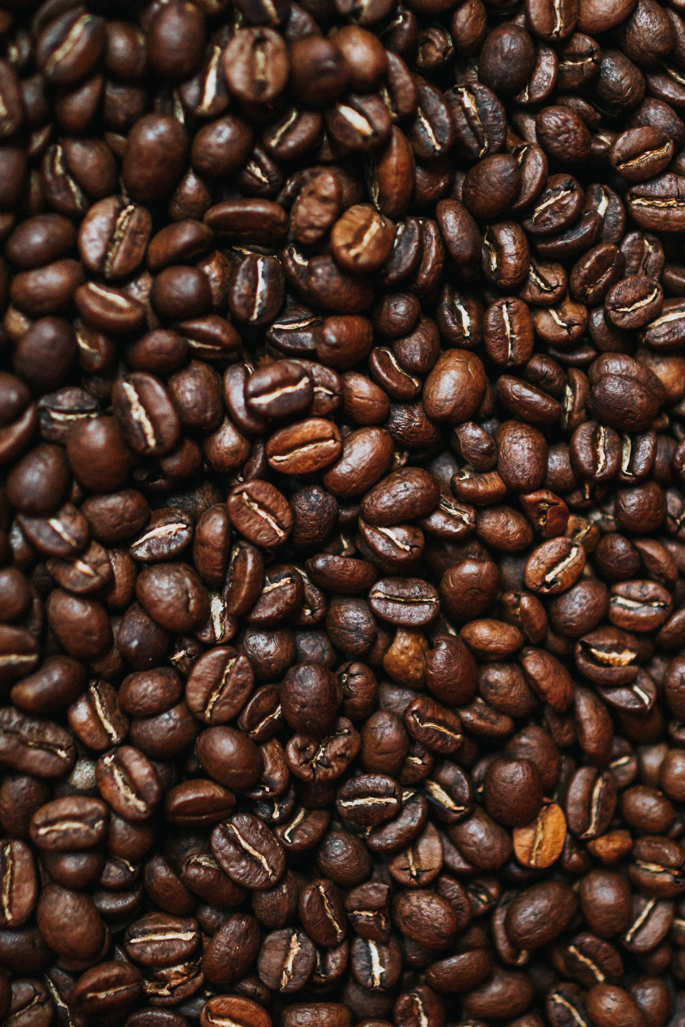 food, coffee, macro, brown, grains, coffee beans, grain