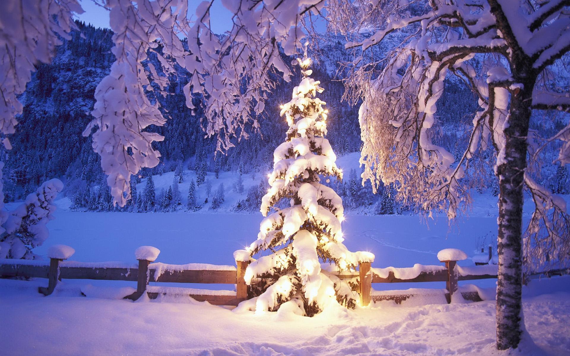 Download mobile wallpaper Christmas, Holiday for free.