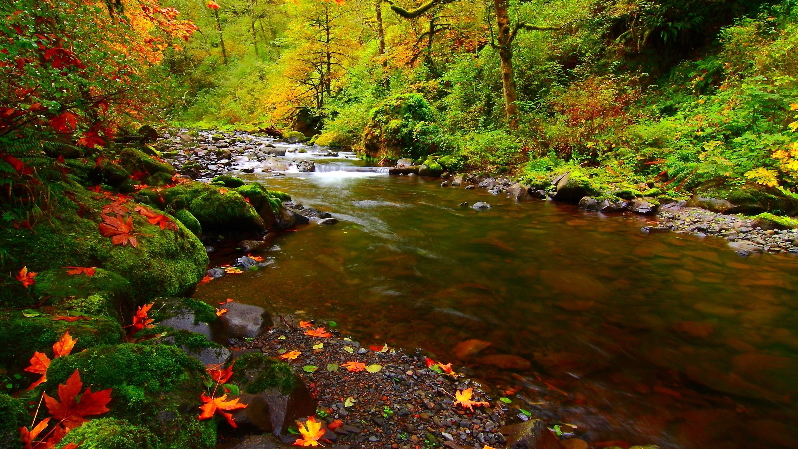 Handy-Wallpaper Strom, Erde/natur kostenlos herunterladen.