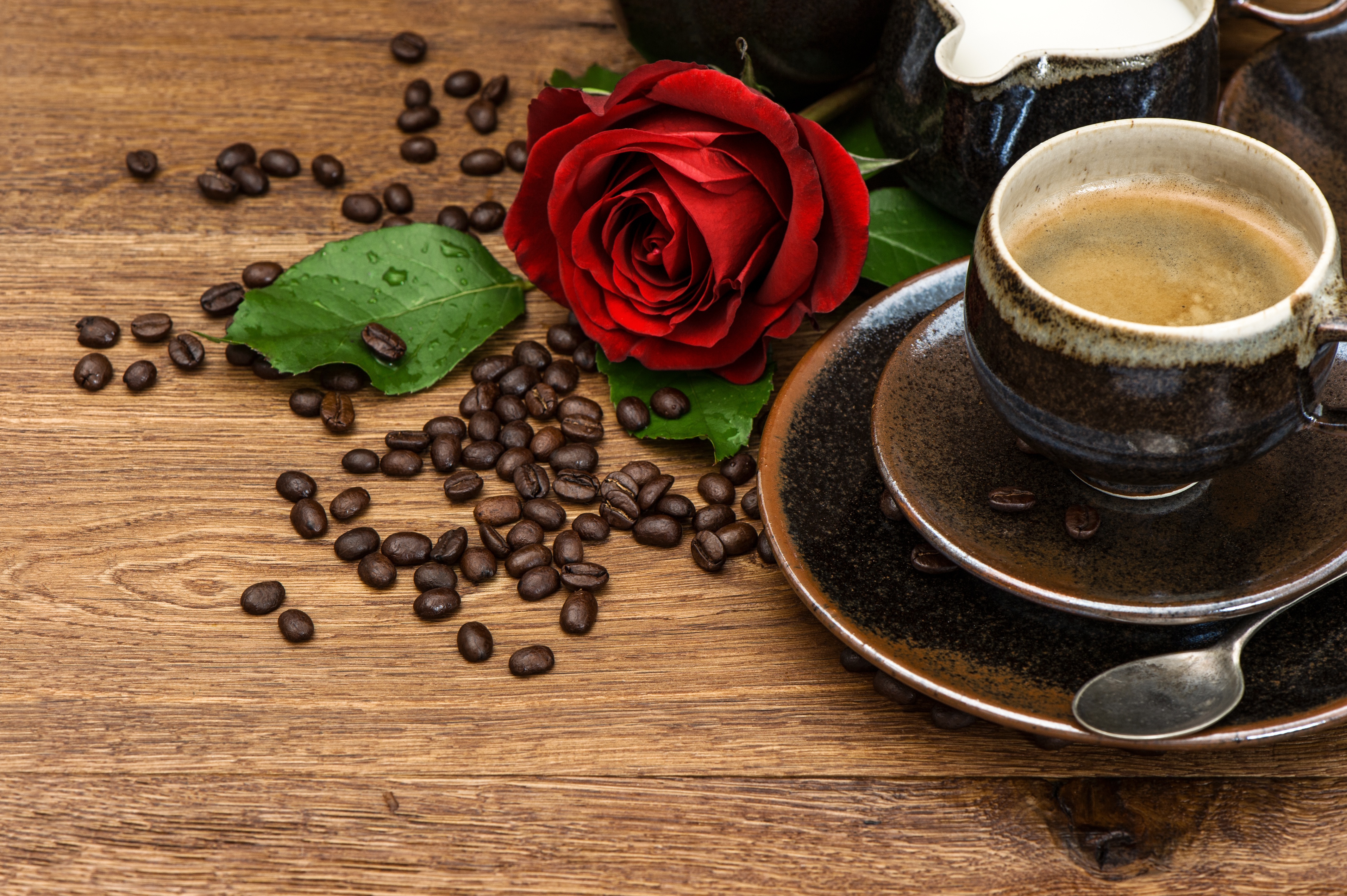 Download mobile wallpaper Food, Coffee, Still Life, Rose, Cup, Drink, Coffee Beans for free.