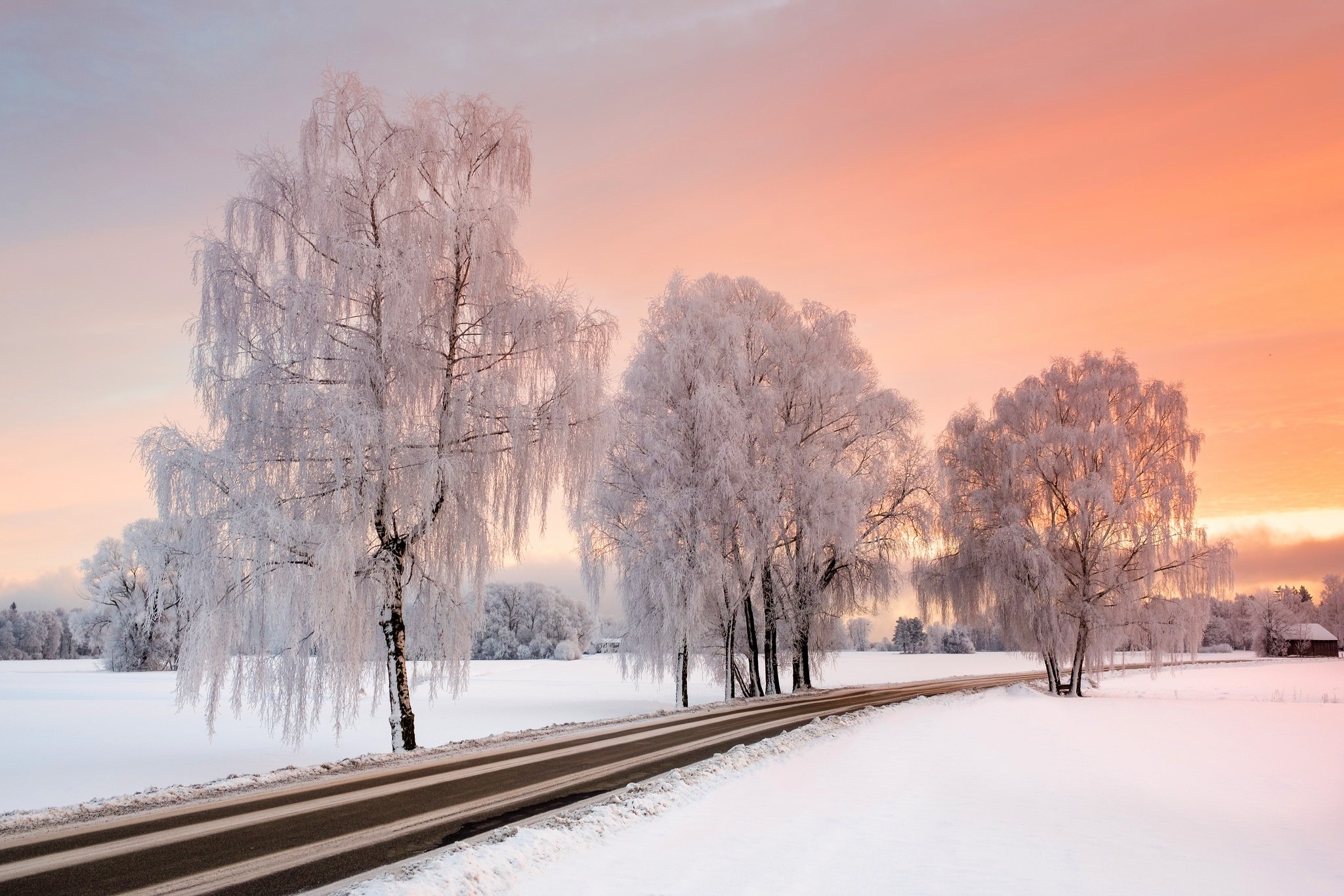 Download mobile wallpaper Winter, Sunset, Sky, Snow, Road, Tree, Man Made for free.