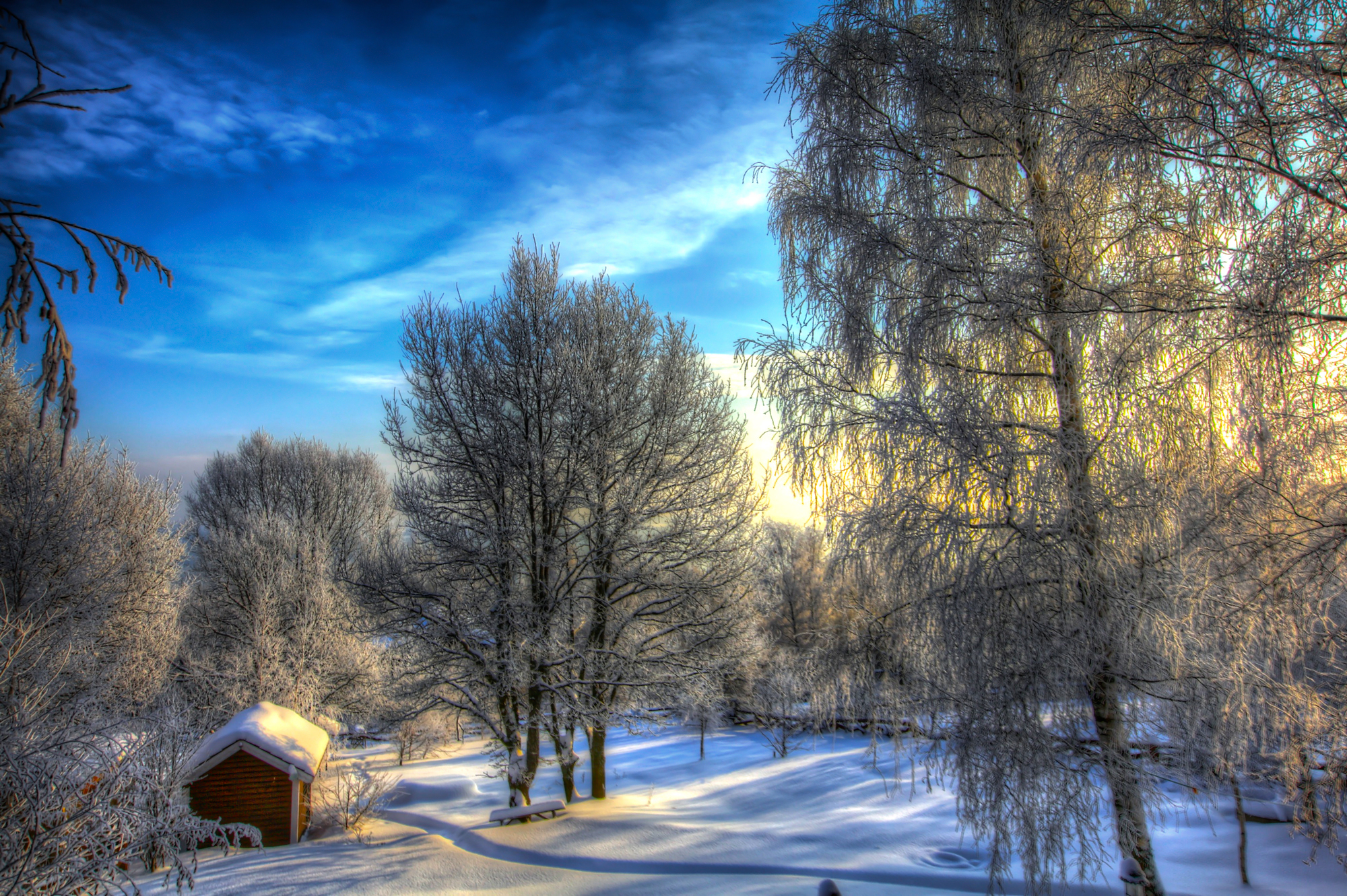 Download mobile wallpaper Winter, Snow, Forest, Tree, Earth, Photography, Cabin for free.