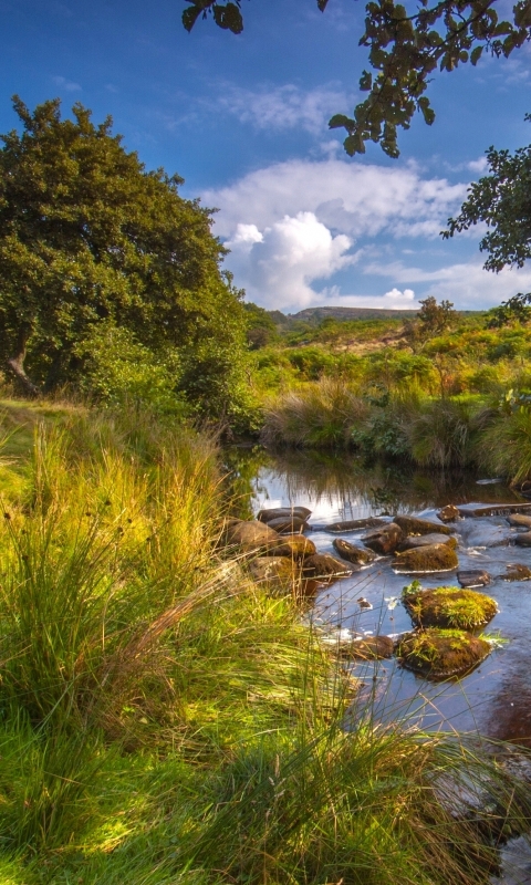 Descarga gratuita de fondo de pantalla para móvil de Naturaleza, Hierba, Césped, Chorro, Tierra/naturaleza.