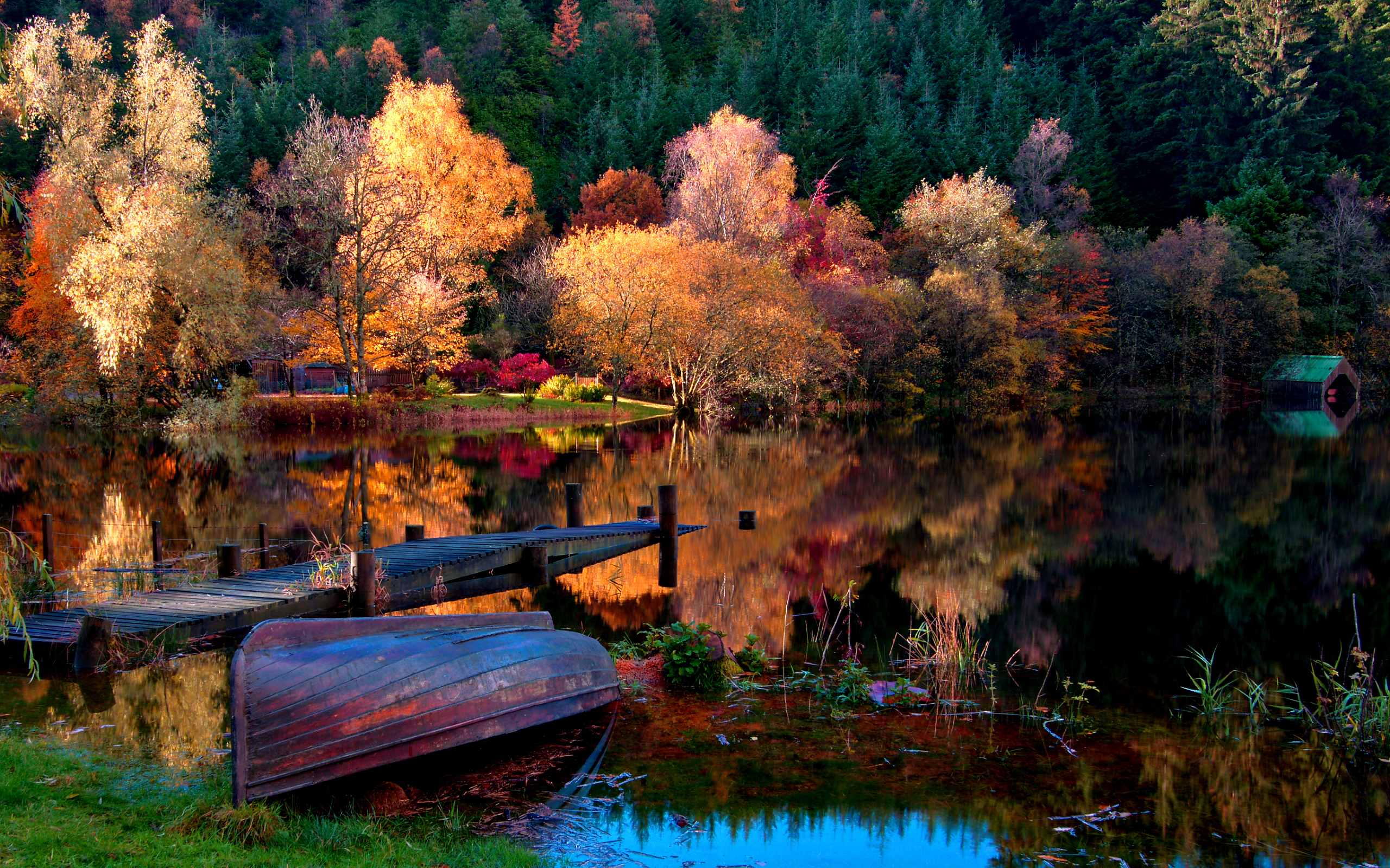 dock, photography, reflection, boat, lake, tree