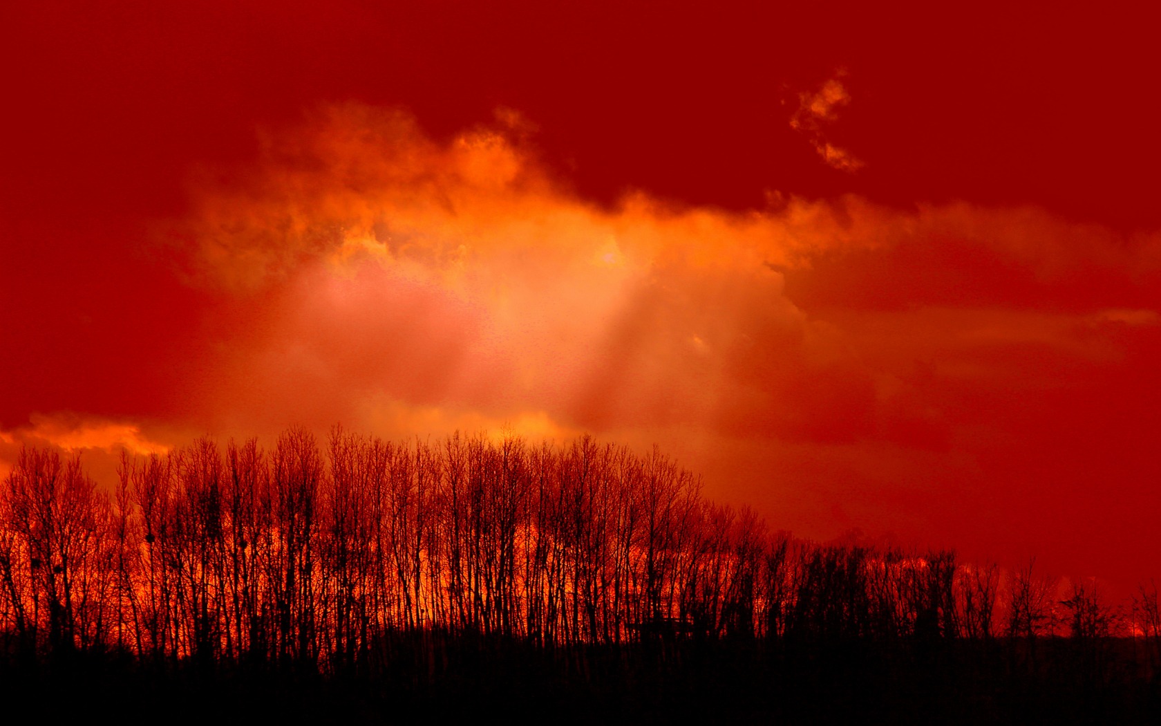 Descarga gratuita de fondo de pantalla para móvil de Tierra/naturaleza, Atardecer.