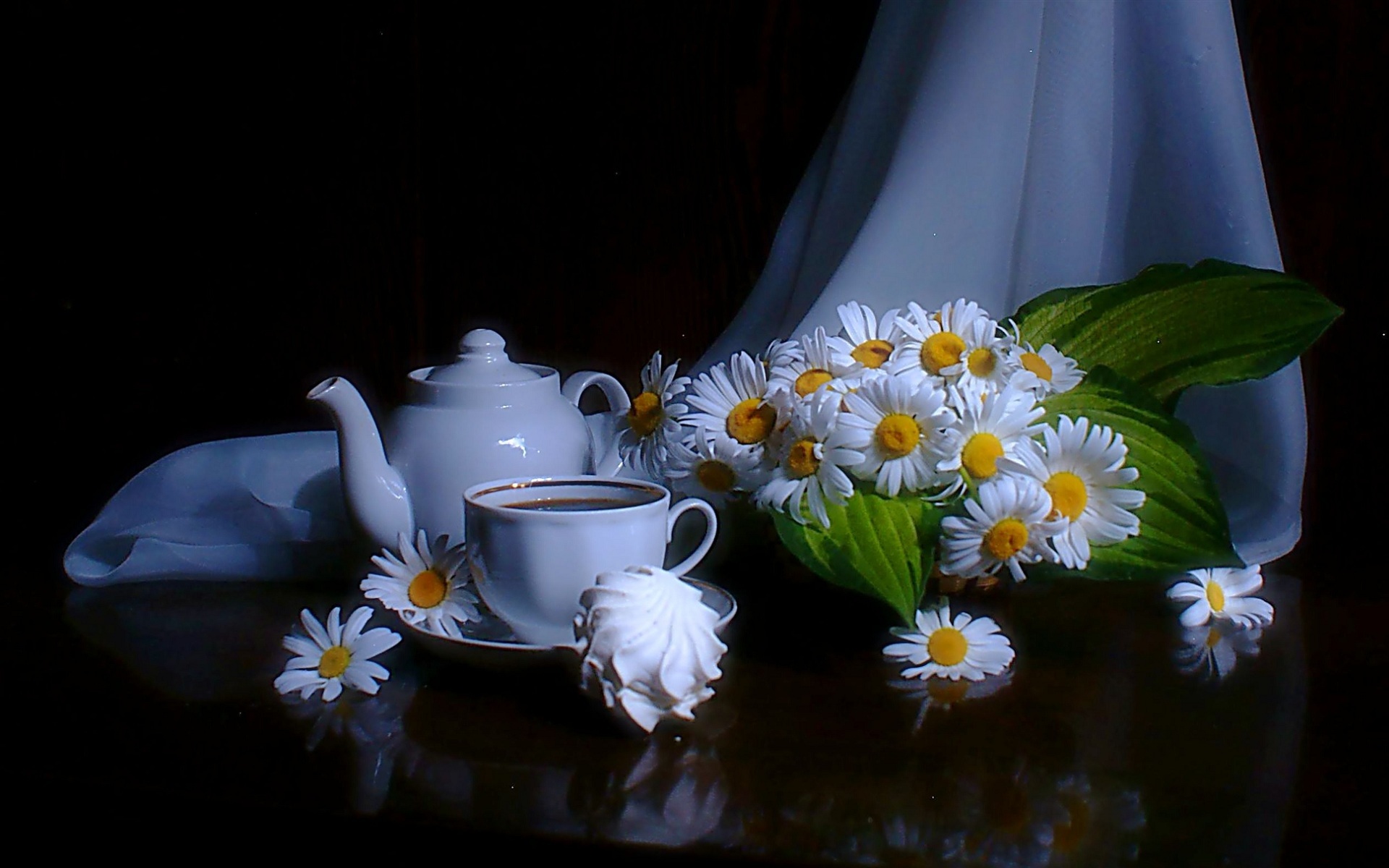 Free download wallpaper Plants, Flowers, Objects, Camomile on your PC desktop