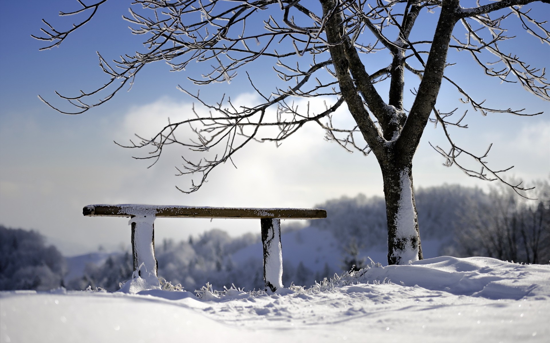 Скачать обои бесплатно Зима, Снег, Дерево, Скамья, Сделано Человеком картинка на рабочий стол ПК