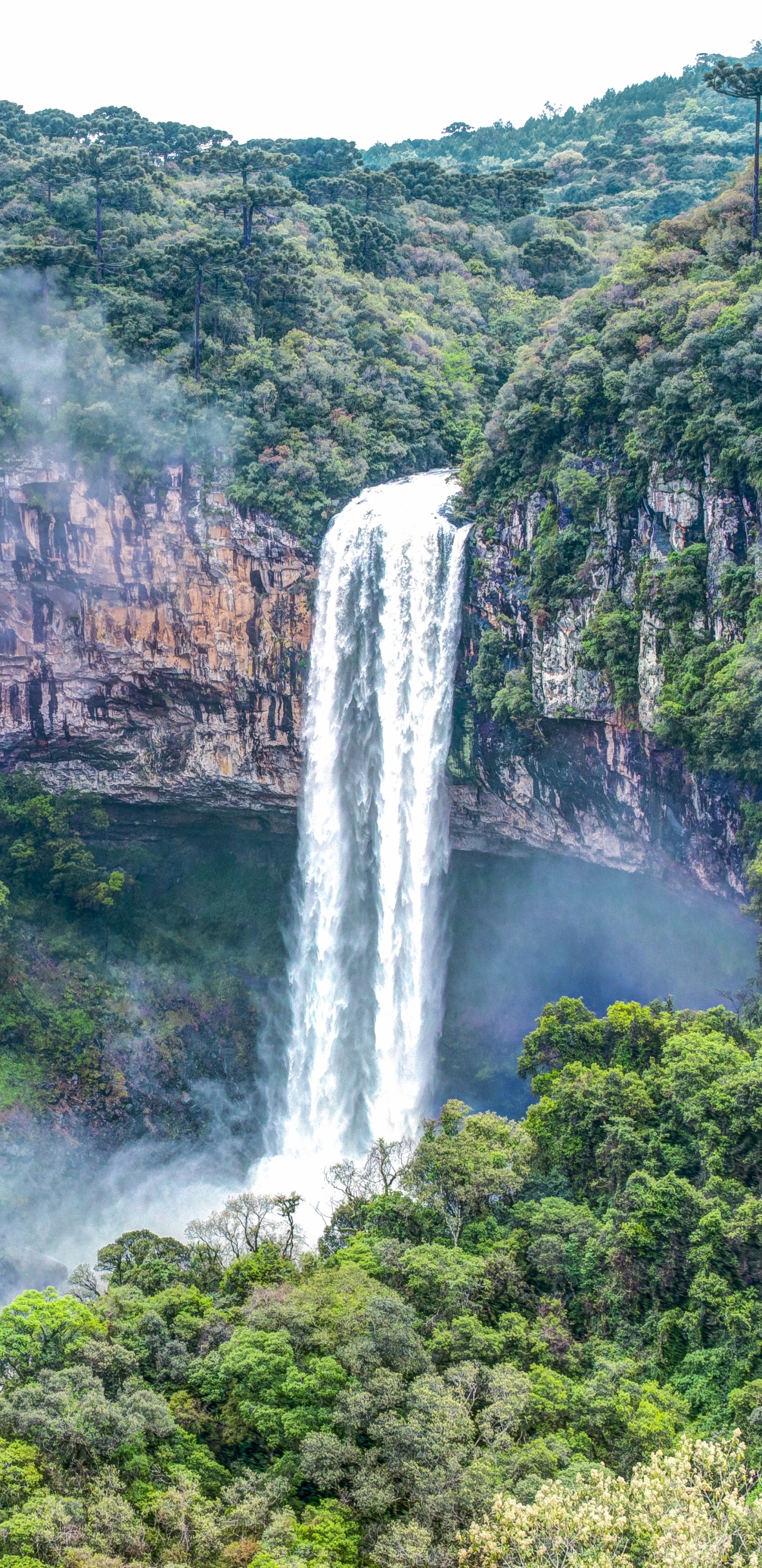 Handy-Wallpaper Wasserfälle, Wasserfall, Erde/natur, Regenwald kostenlos herunterladen.