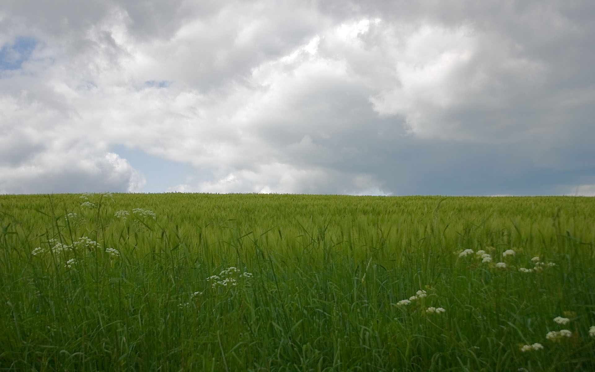 Download mobile wallpaper Landscape, Sky, Grass for free.
