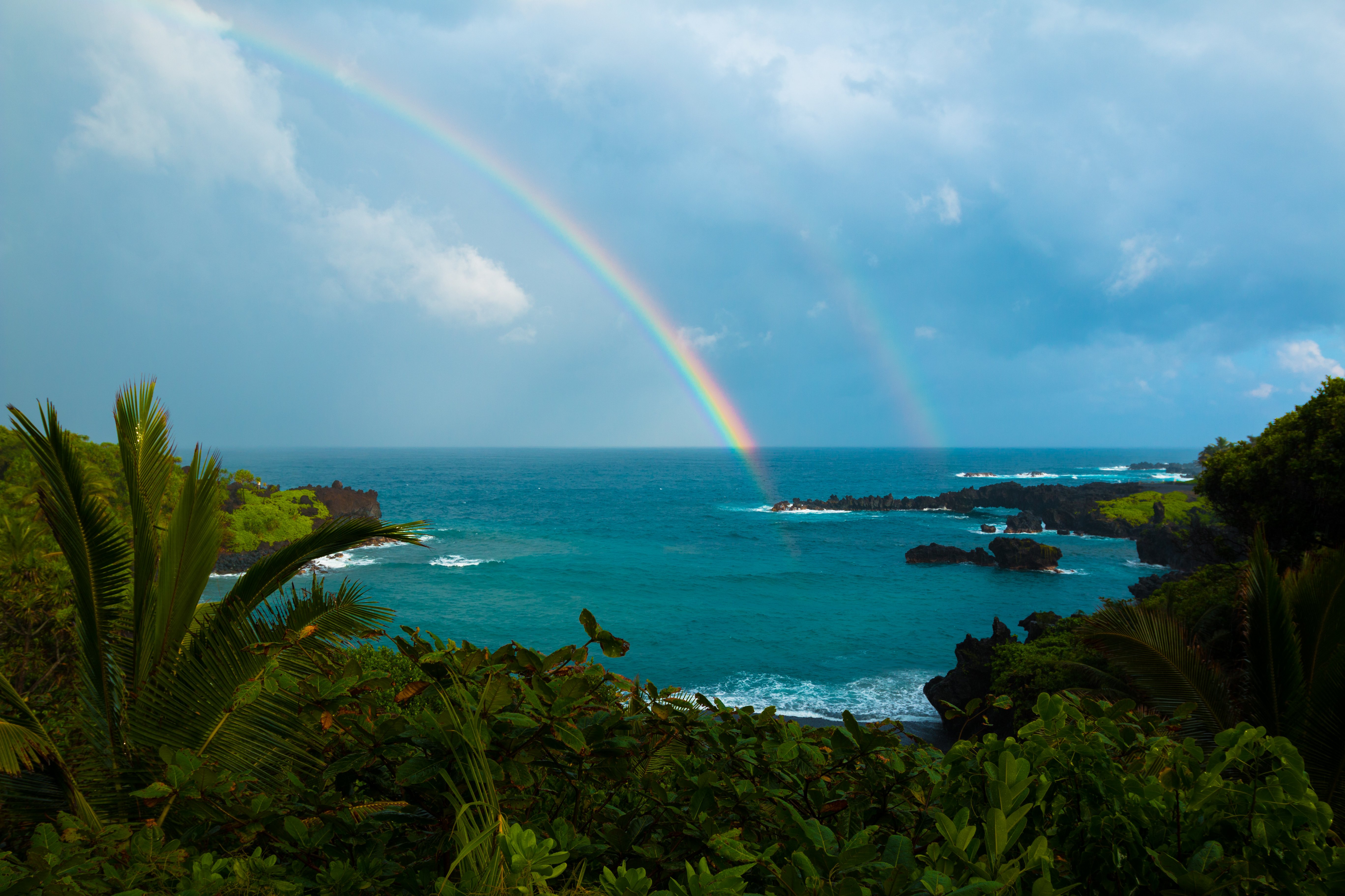 740205 Hintergrundbild herunterladen erde/natur, regenbogen, hawaii, horizont, natur, ozean, palme, strauch, tropisch - Bildschirmschoner und Bilder kostenlos
