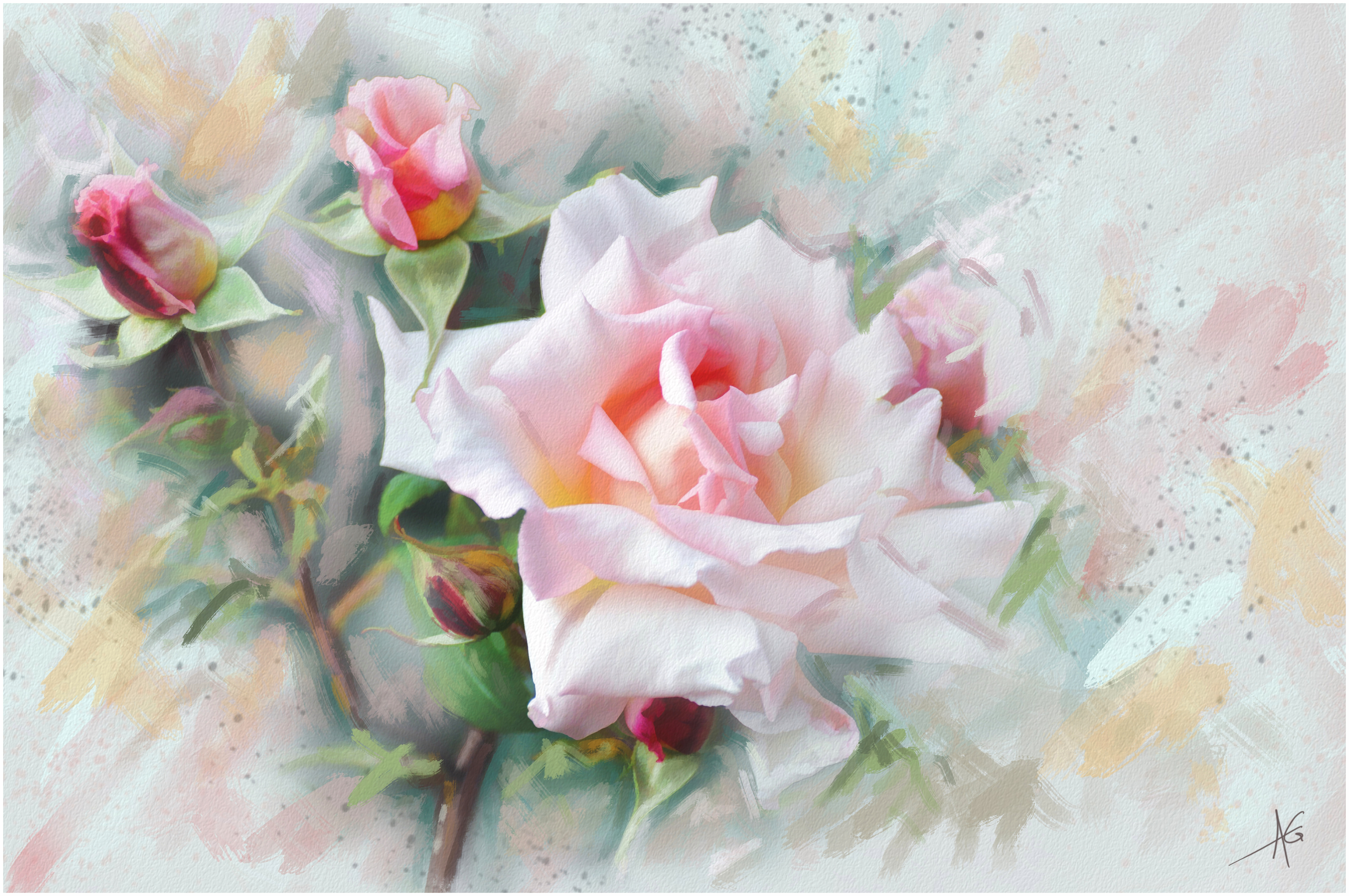 painting, pink flower, artistic, watercolor, bud, flower, pink rose, rose