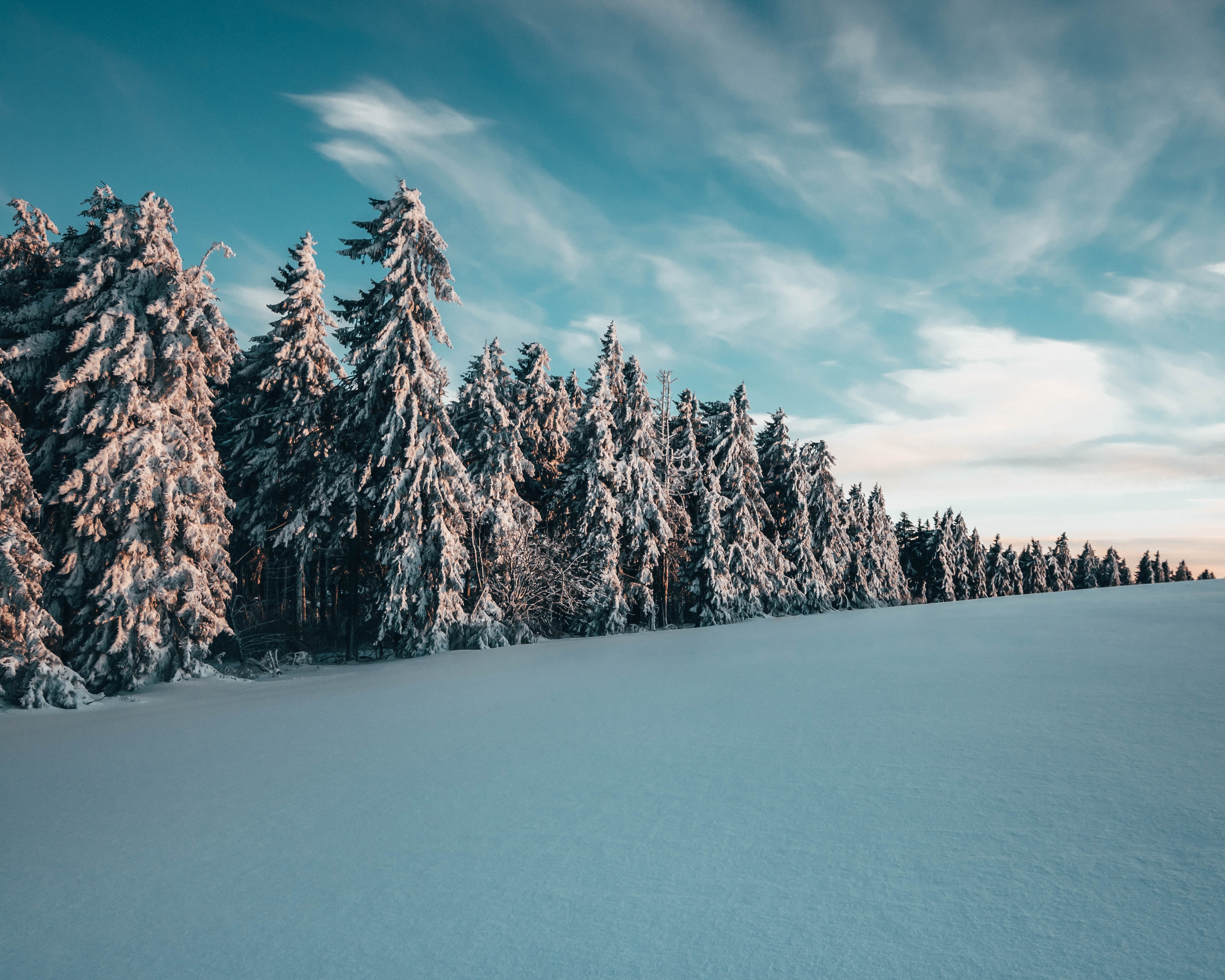Handy-Wallpaper Winter, Natur, Schnee, Aß, Aßen, Landschaft, Bäume kostenlos herunterladen.
