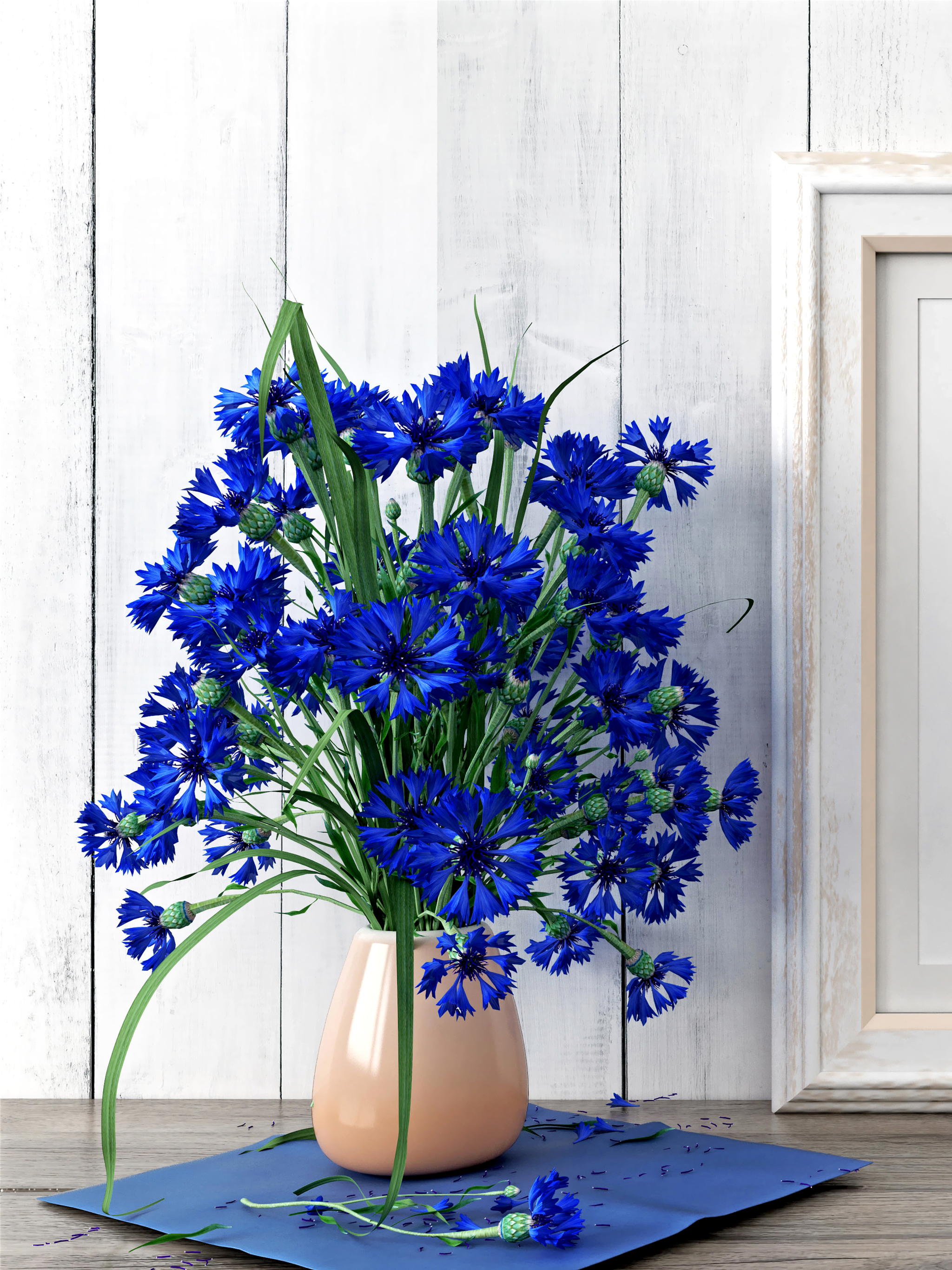 無料モバイル壁紙静物, 花, 花瓶, ヤグルマギク, 写真撮影, 青い花をダウンロードします。