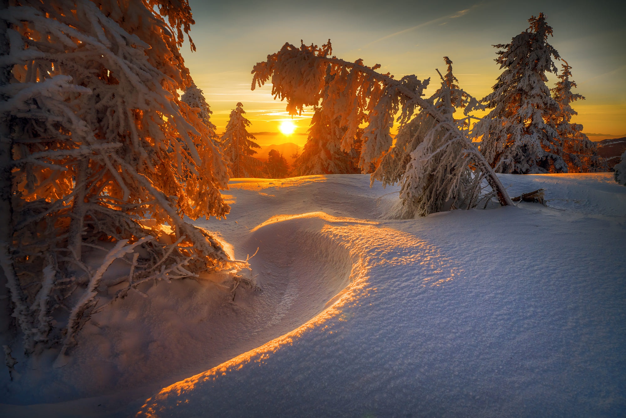 Download mobile wallpaper Winter, Sunset, Snow, Earth, Sunlight, Fir Tree for free.