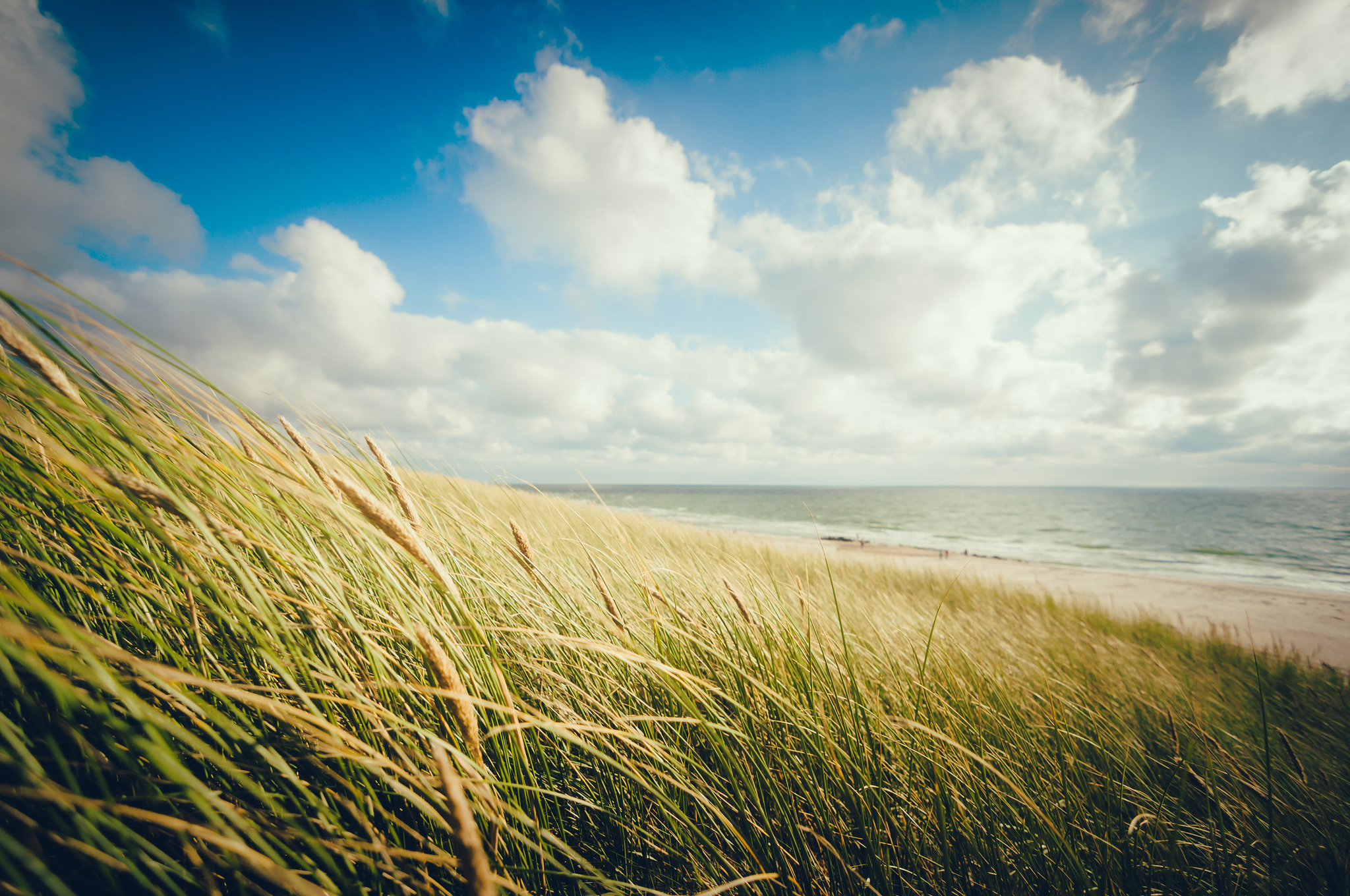 Download mobile wallpaper Nature, Grass, Sky, Beach, Horizon, Ocean, Earth, Cloud for free.