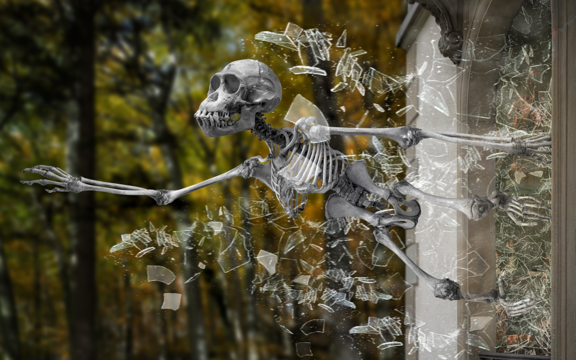 Download mobile wallpaper Dark, Skeleton for free.