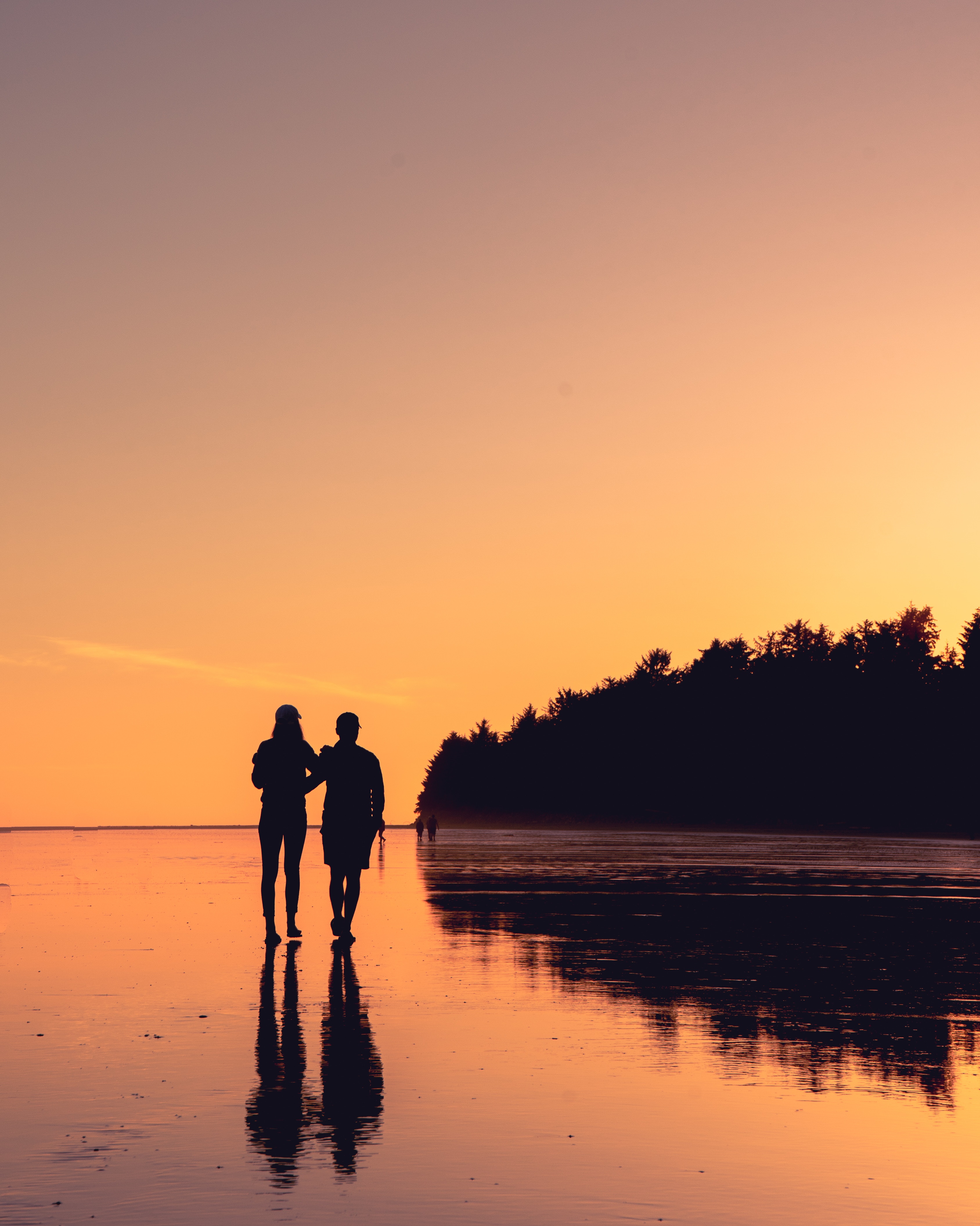 couple, pair, stroll, love, sunset, reflection, shore, bank HD wallpaper