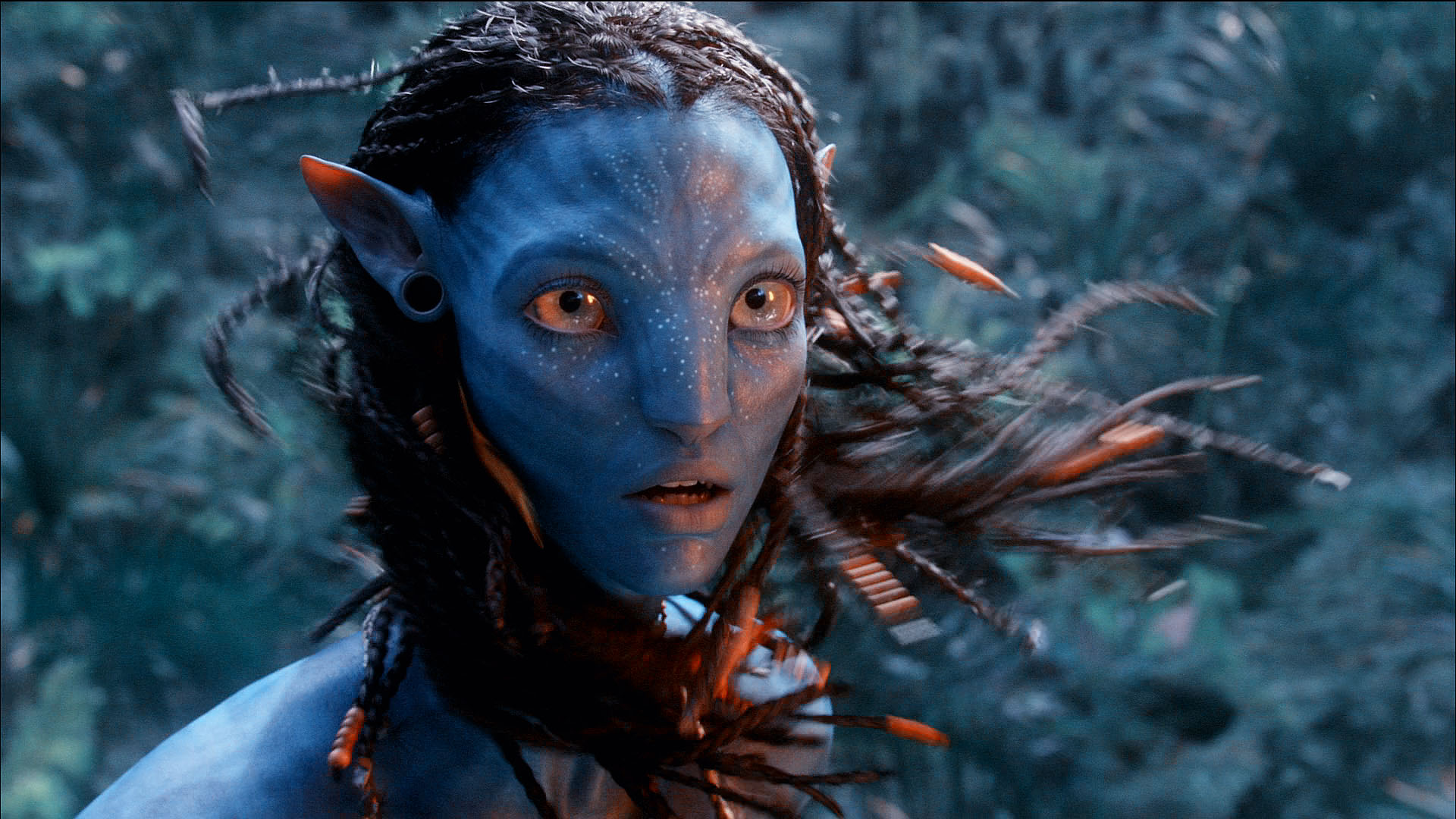 Free download wallpaper Avatar, Movie on your PC desktop