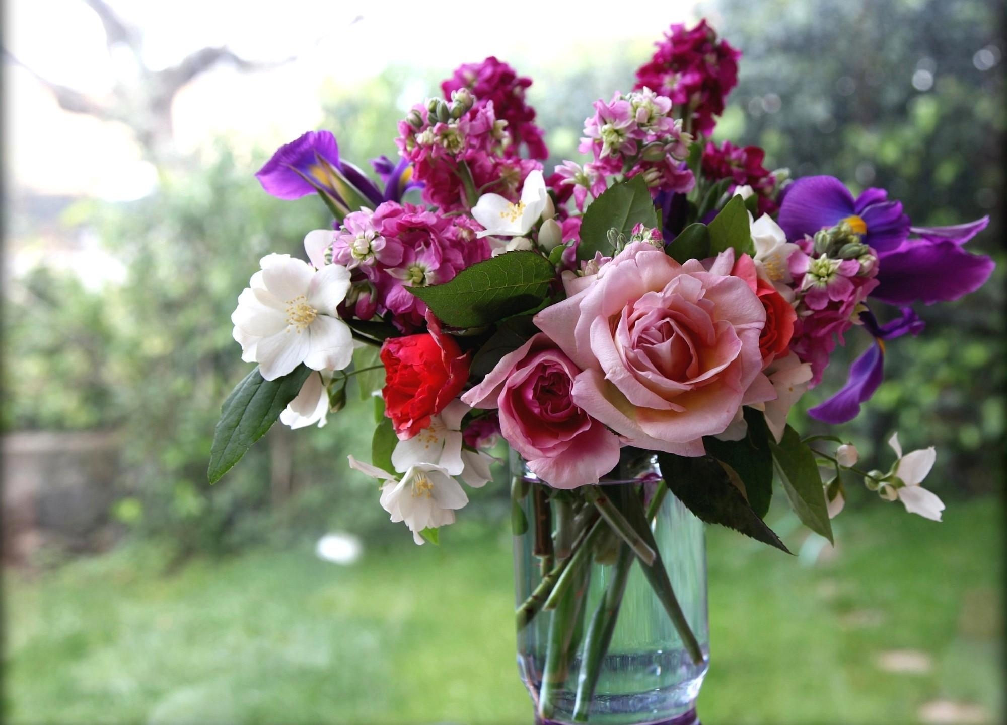 roses, flowers, bouquet, window, vase, jasmine
