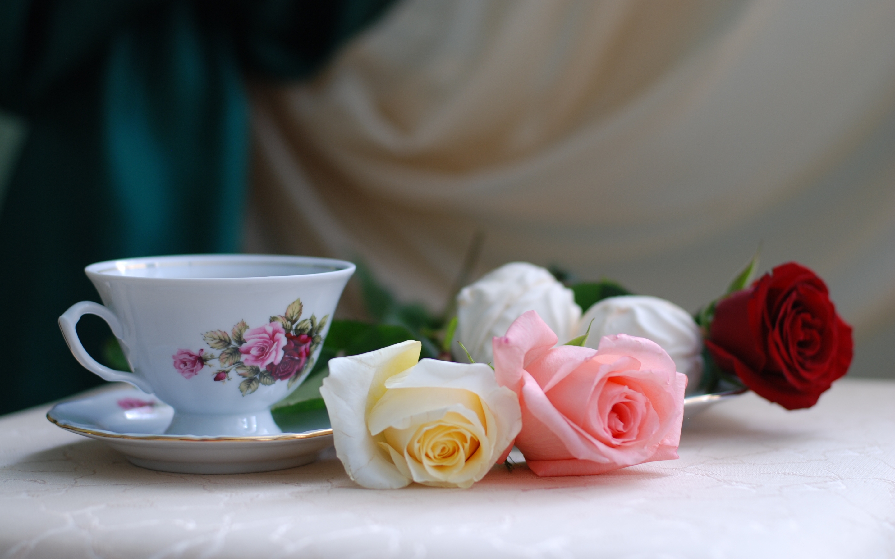 Free download wallpaper Flowers, Roses, Zephyr, Marshmallow, Tea, Romance on your PC desktop