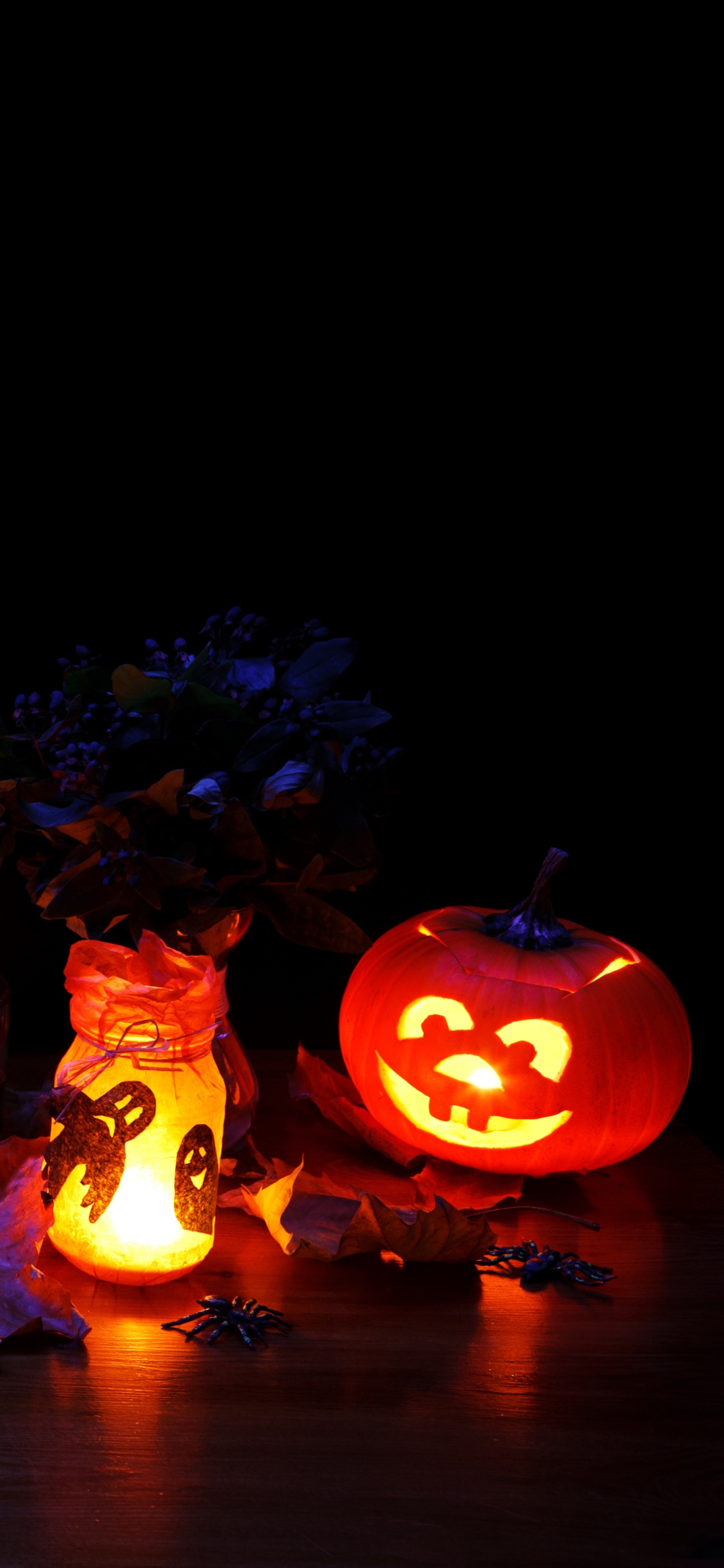 Download mobile wallpaper Halloween, Pumpkin, Holiday, Jack O' Lantern for free.