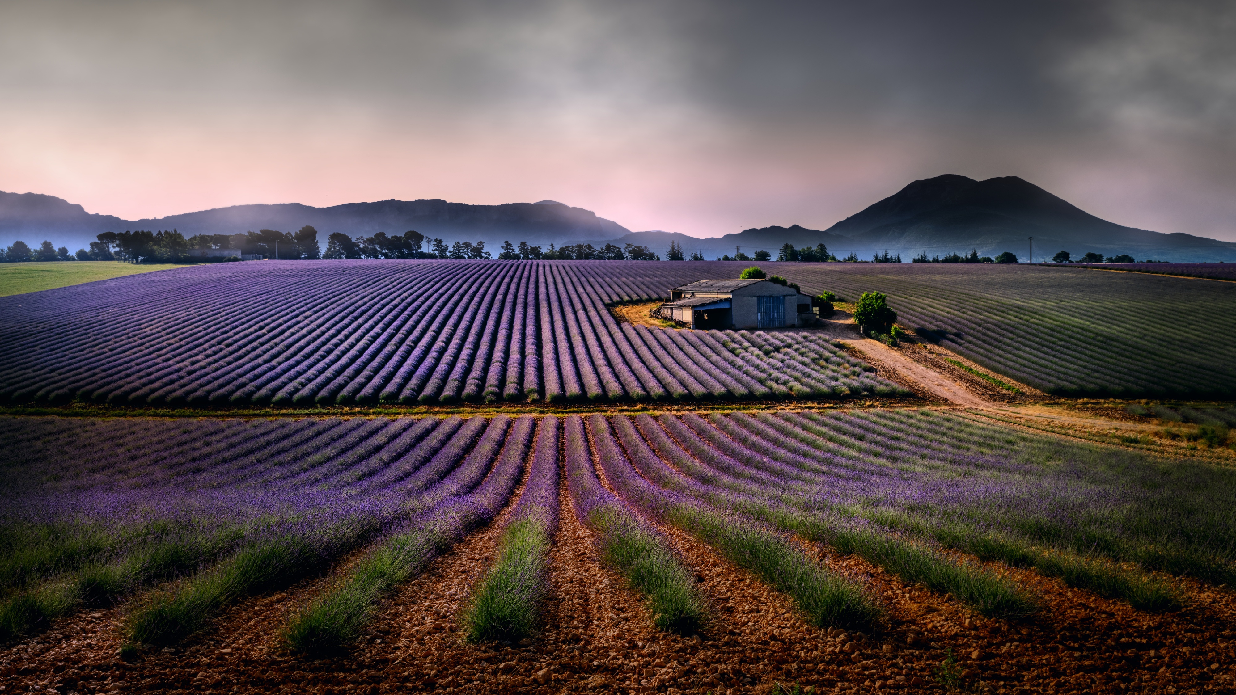 Download mobile wallpaper Landscape, Nature, Mountain, House, Field, Lavender, Photography for free.