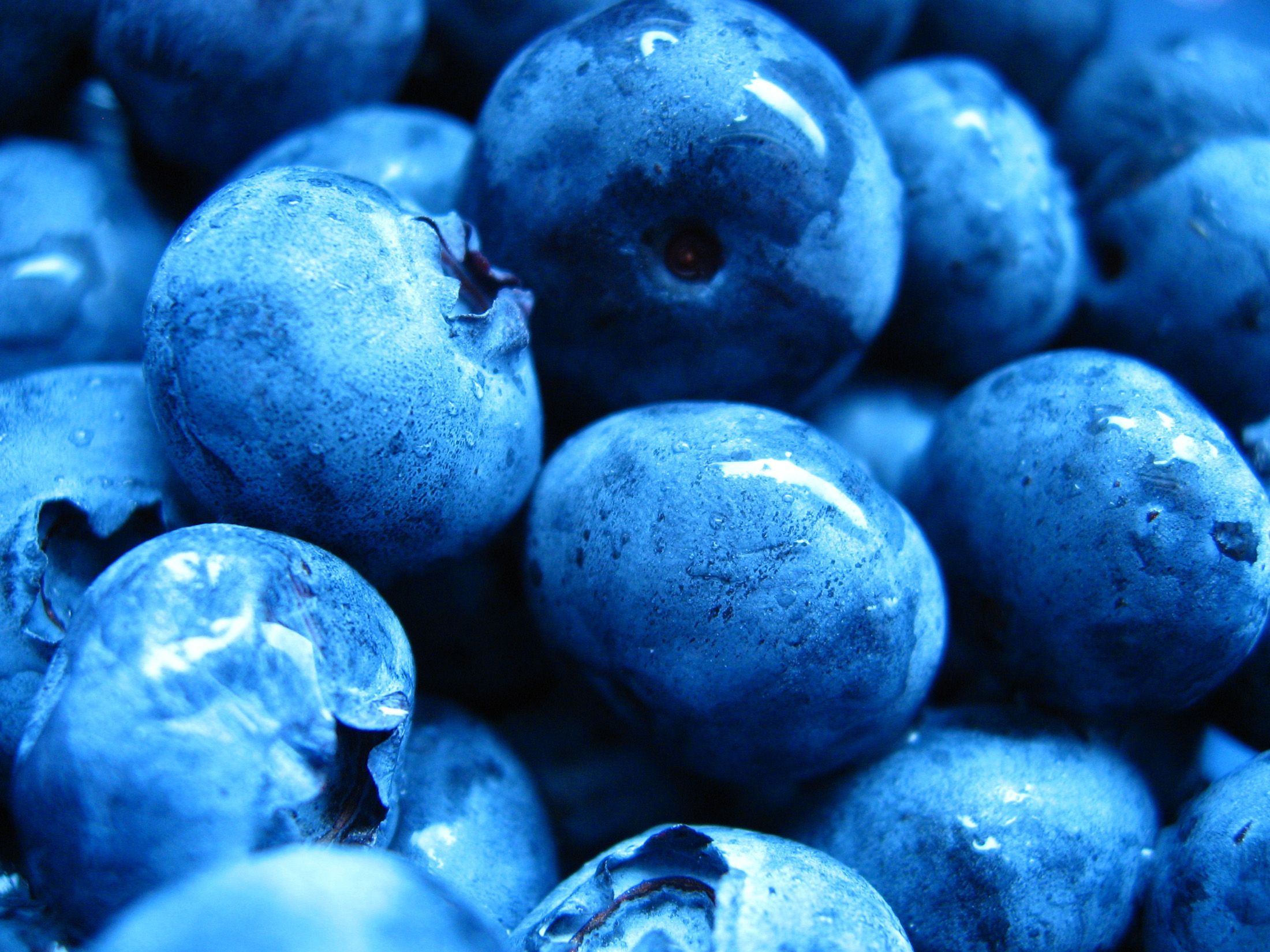 Download mobile wallpaper Food, Blueberry for free.