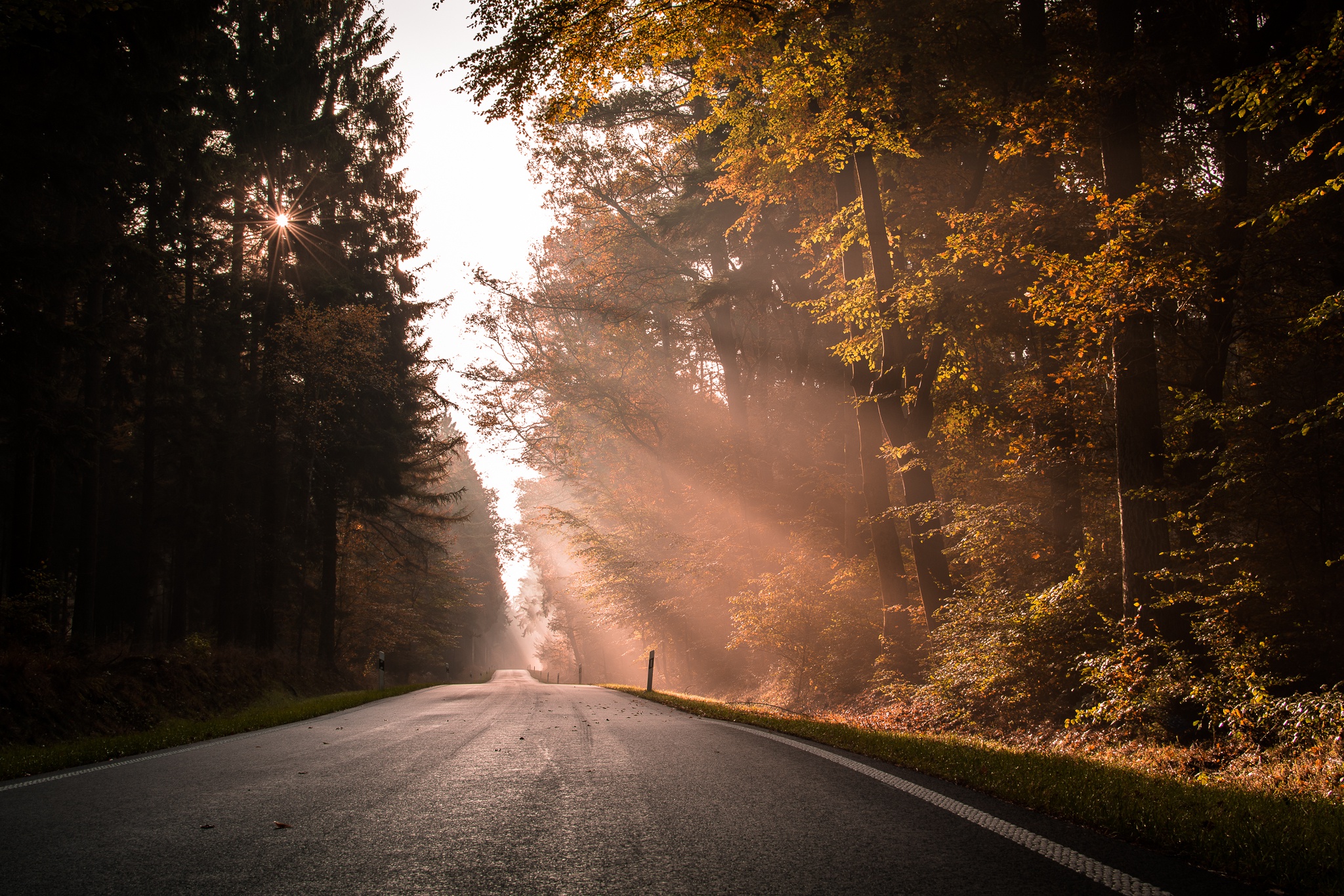 Download mobile wallpaper Nature, Road, Forest, Tree, Sunbeam, Man Made for free.
