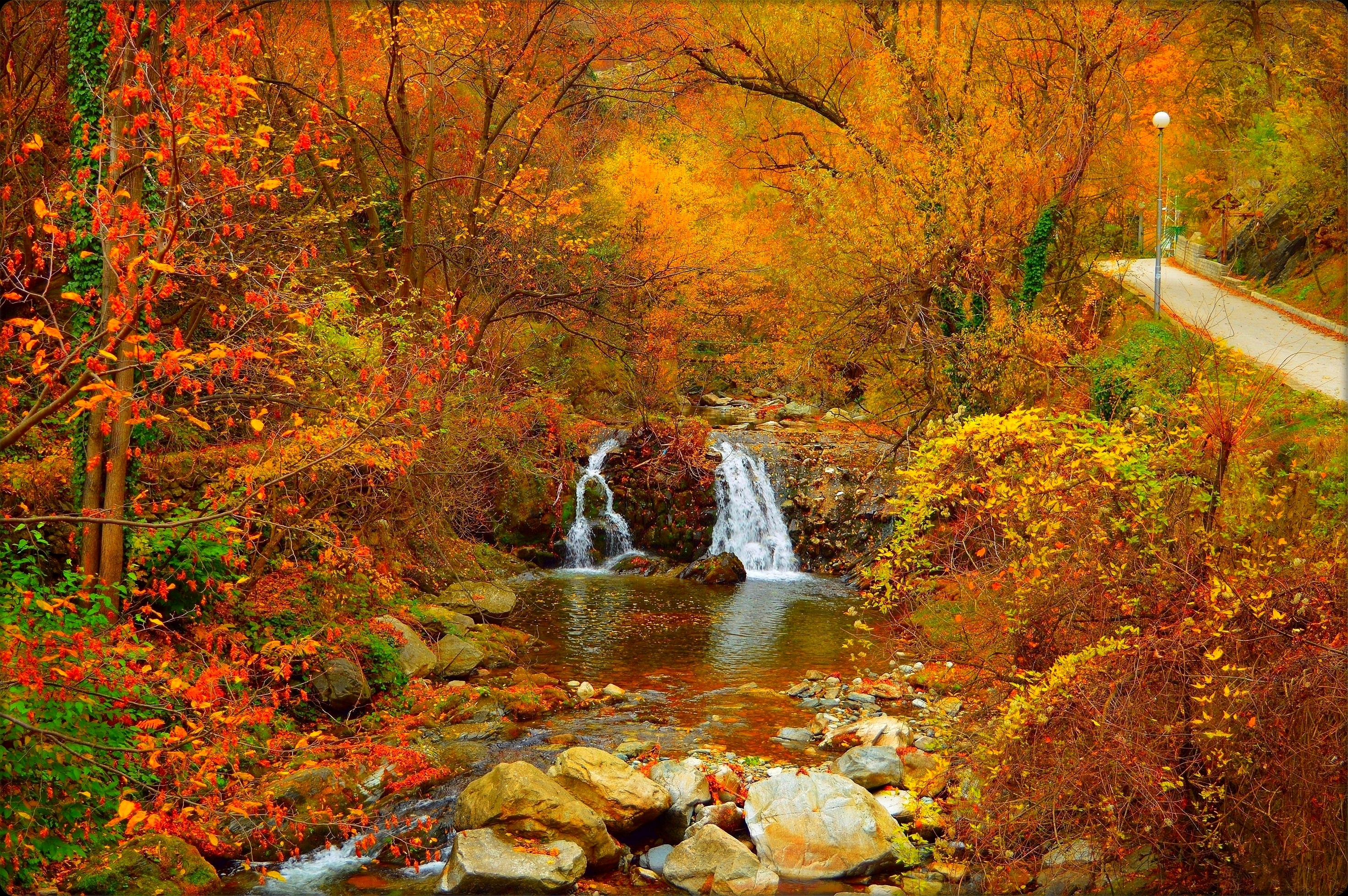 Download mobile wallpaper Waterfalls, Waterfall, Forest, Fall, Earth, Colorful for free.