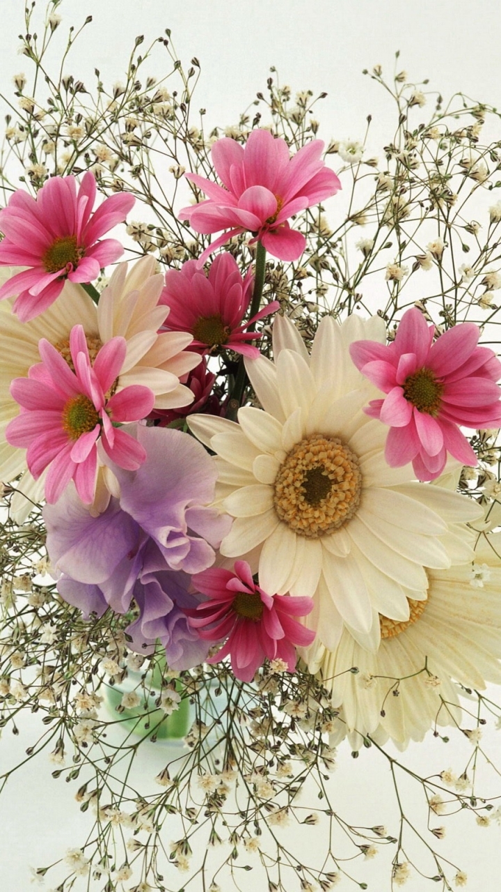 Handy-Wallpaper Blumen, Gerbera, Blume, Strauß, Erde, Gänseblümchen, Weiße Blume, Erde/natur, Pinke Blume, Säuglingsatem kostenlos herunterladen.
