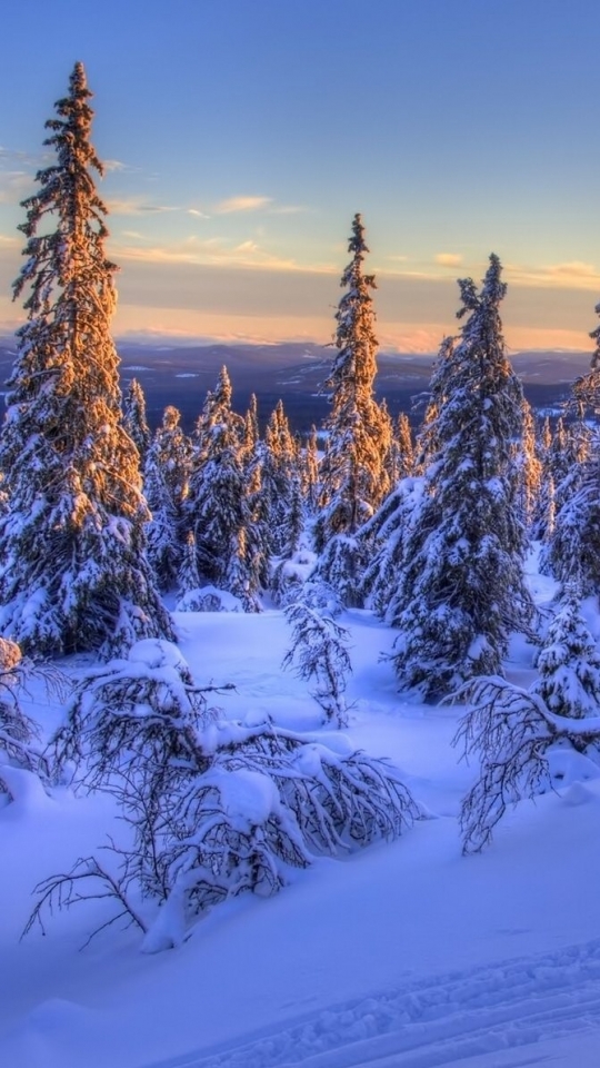 Téléchargez des papiers peints mobile Hiver, Terre/nature gratuitement.