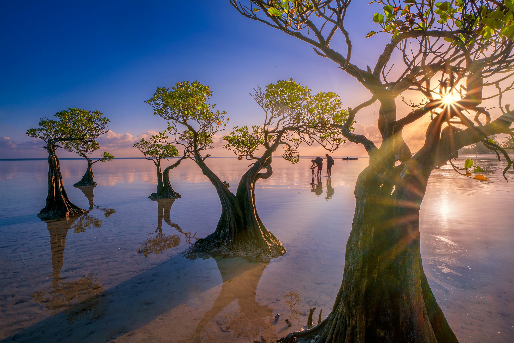Descarga gratis la imagen Árboles, Playa, Árbol, Indonesia, Tierra/naturaleza en el escritorio de tu PC