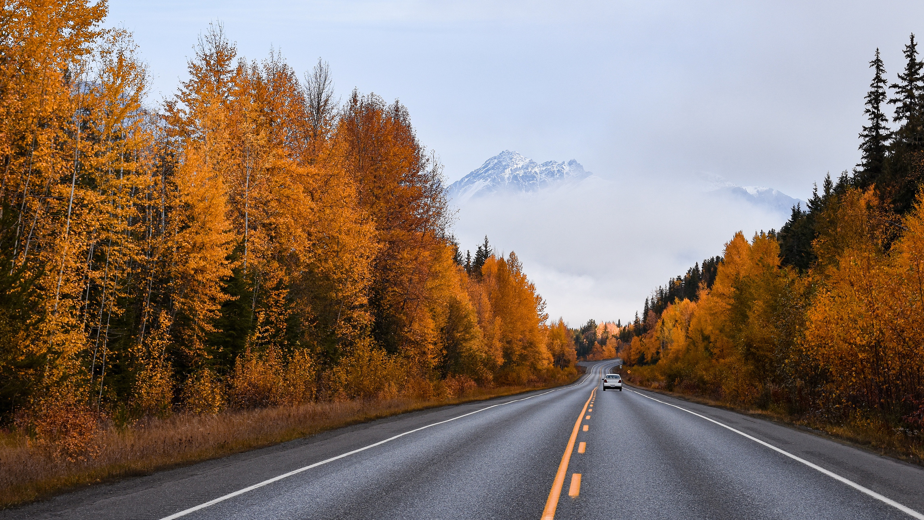 Descarga gratuita de fondo de pantalla para móvil de Otoño, Bosque, Coche, Fotografía, Carretera.