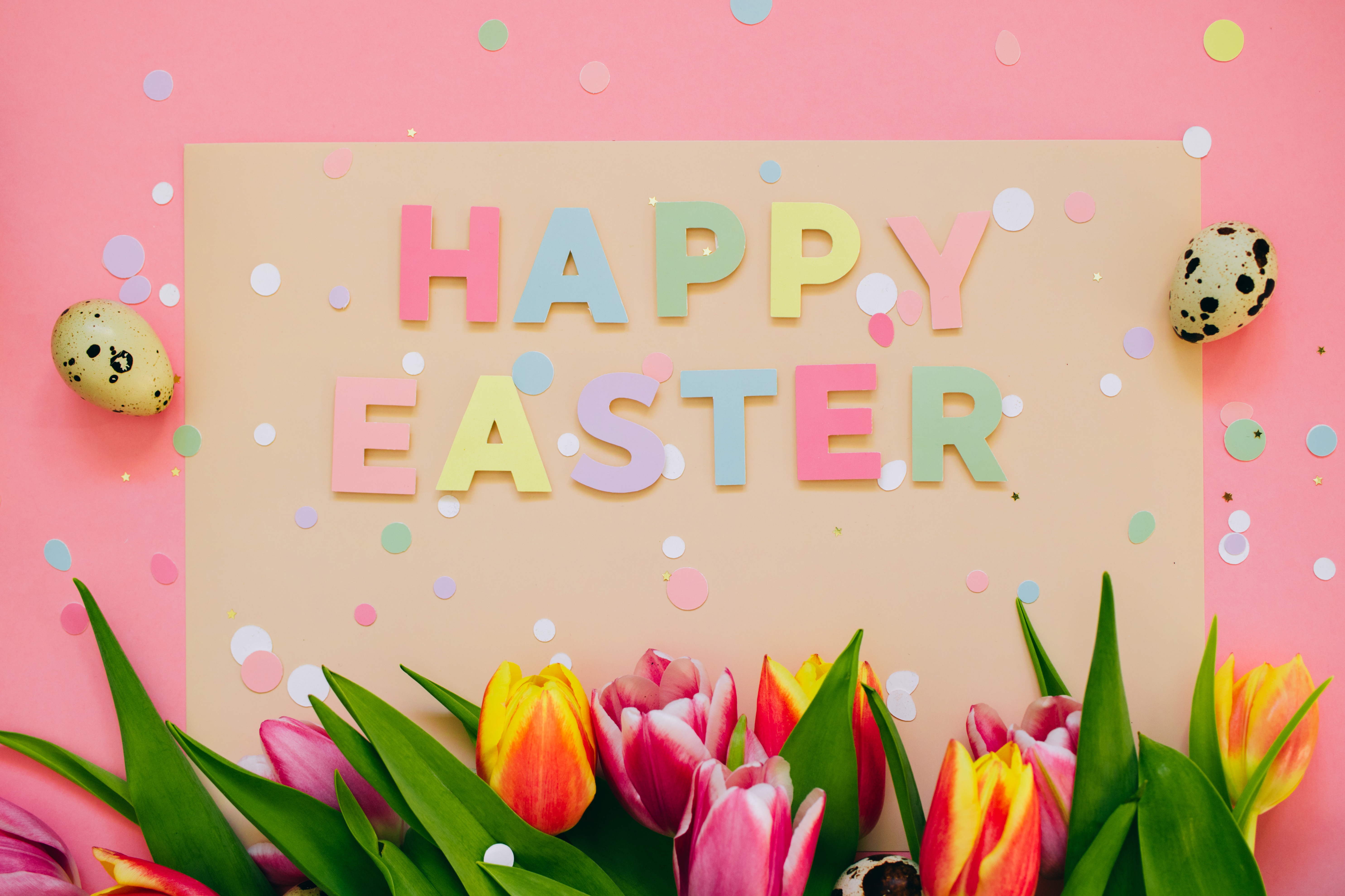Handy-Wallpaper Feiertage, Ostern, Blume, Tulpe, Frohe Ostern kostenlos herunterladen.
