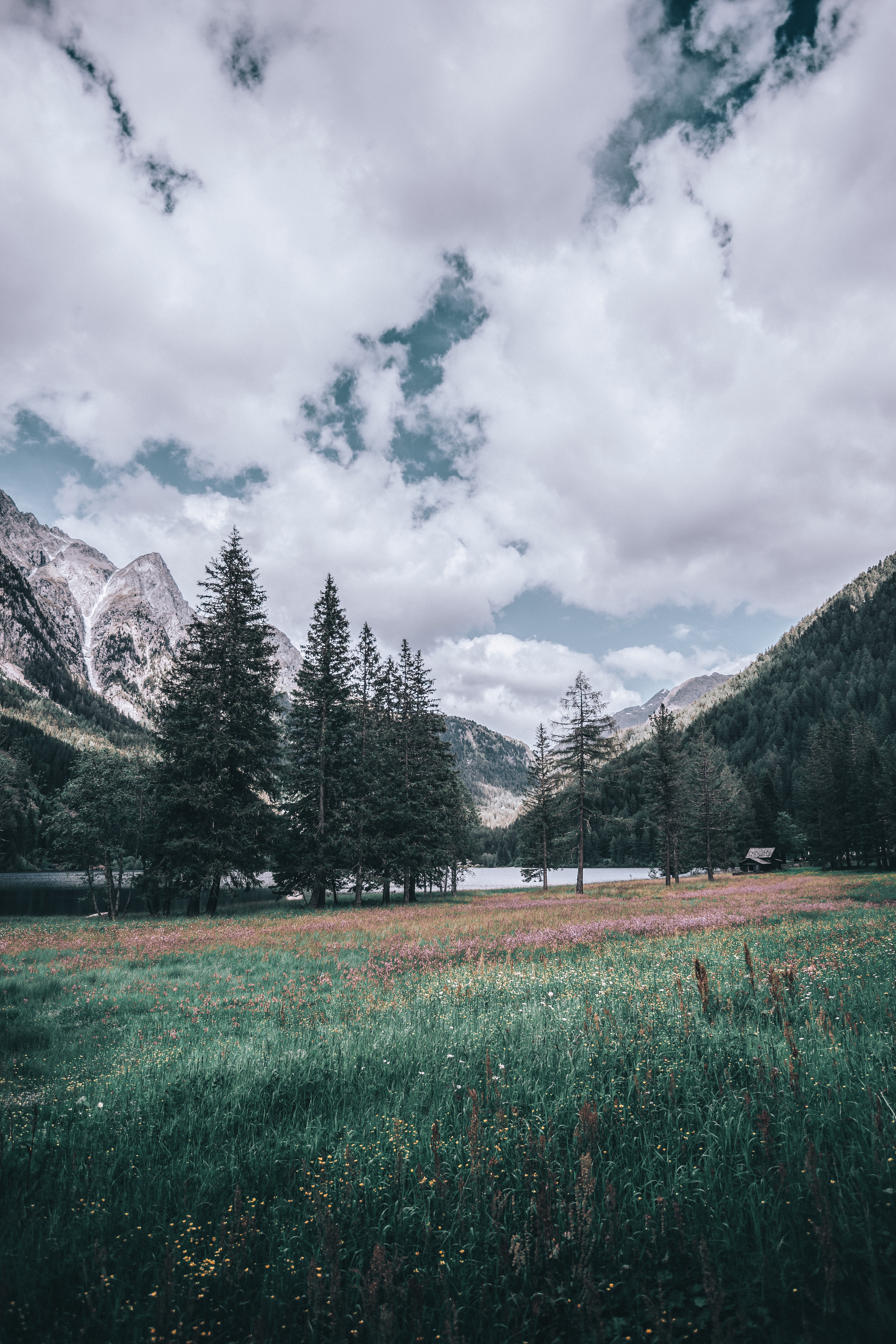 Free download wallpaper Trees, Nature, Italy, Mountains, Landscape on your PC desktop