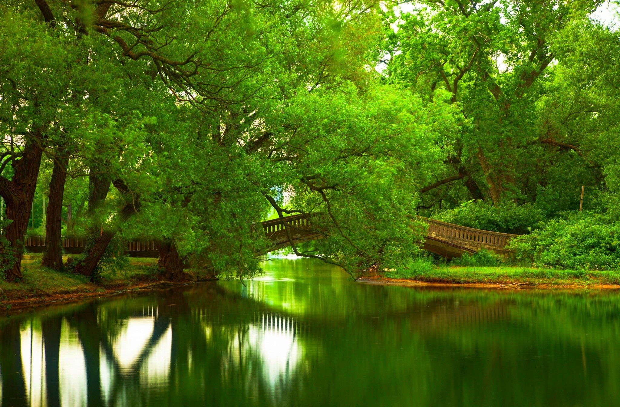Laden Sie das Sommer, Baum, Fluss, Brücke, Erde/natur-Bild kostenlos auf Ihren PC-Desktop herunter
