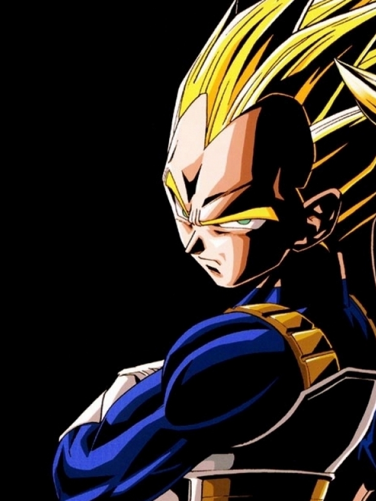 Handy-Wallpaper Dragon Ball, Animes, Son Goku, Dragonball Z, Vegeta (Dragon Ball) kostenlos herunterladen.