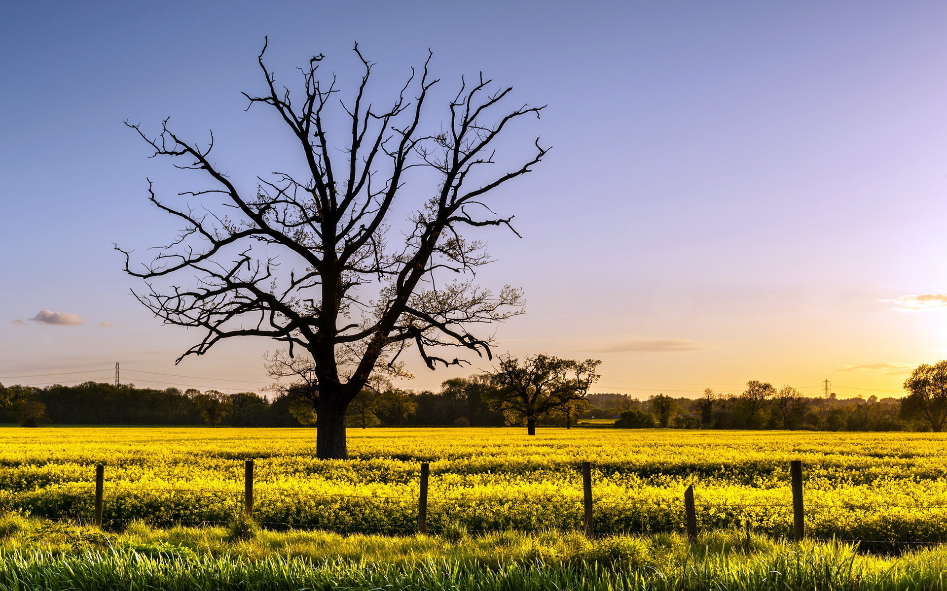 Baixe gratuitamente a imagem Terra/natureza, Paisagem na área de trabalho do seu PC