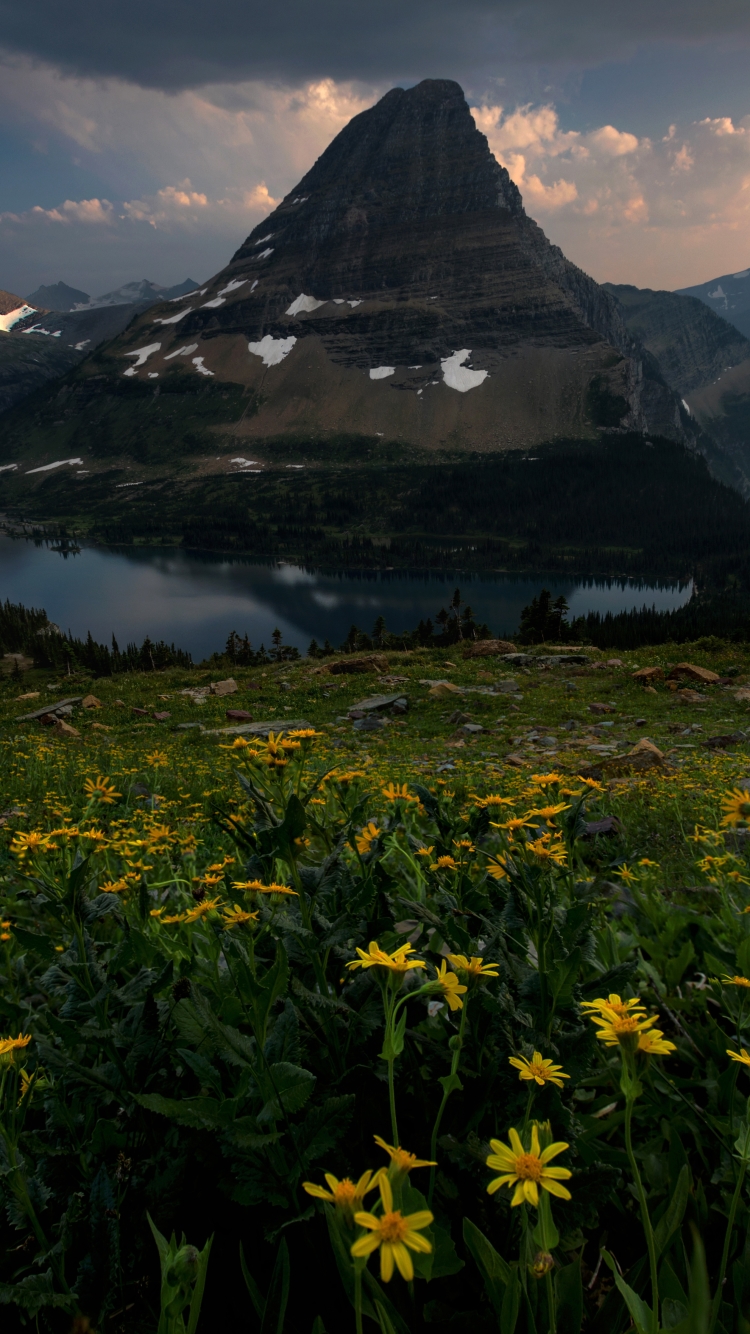 Download mobile wallpaper Landscape, Nature, Sunset, Lakes, Mountain, Peak, Lake, Flower, Earth, Yellow Flower for free.