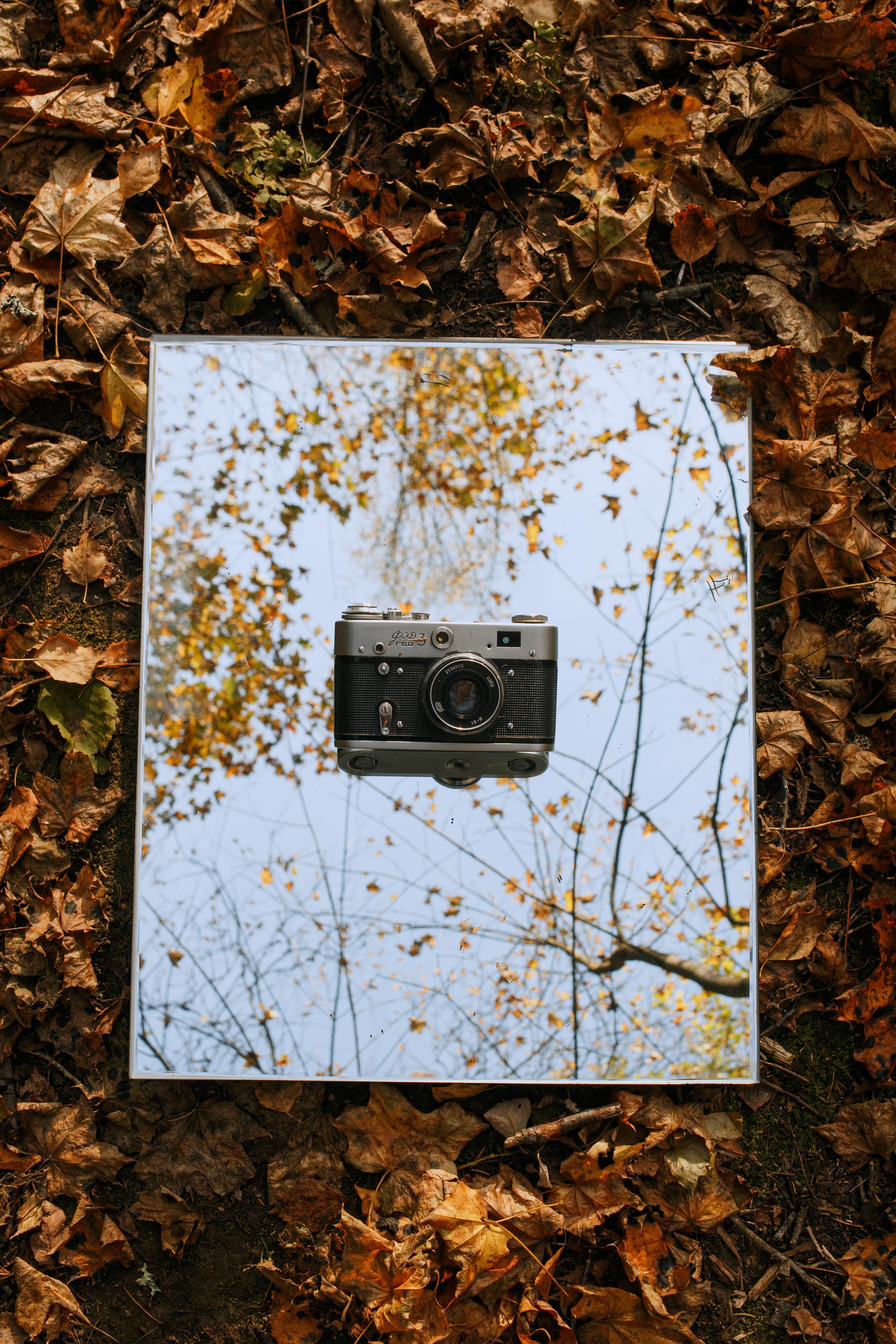Download mobile wallpaper Leaves, Miscellaneous, Miscellanea, Autumn, Retro, Camera, Vintage for free.