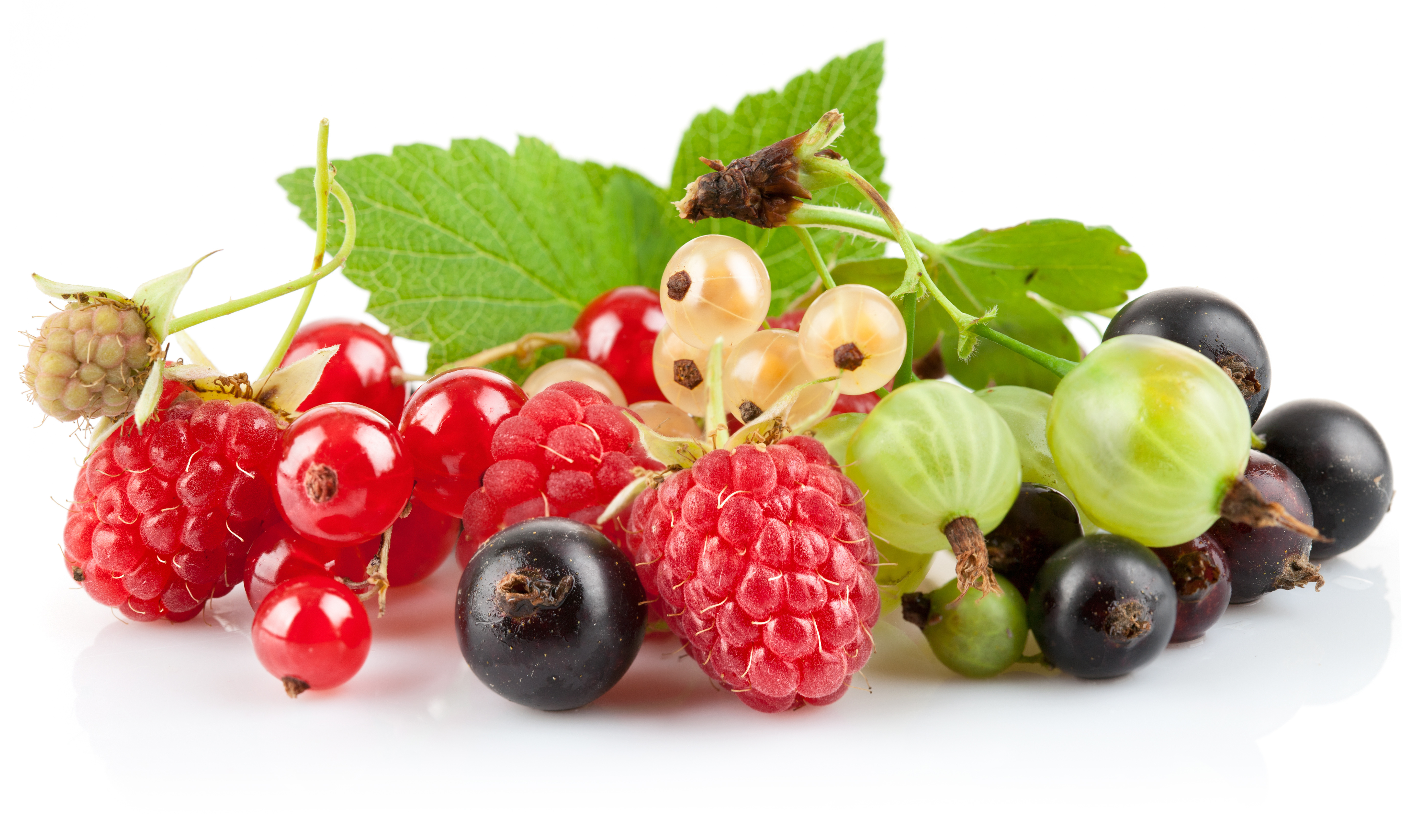 Free download wallpaper Food, Berry on your PC desktop