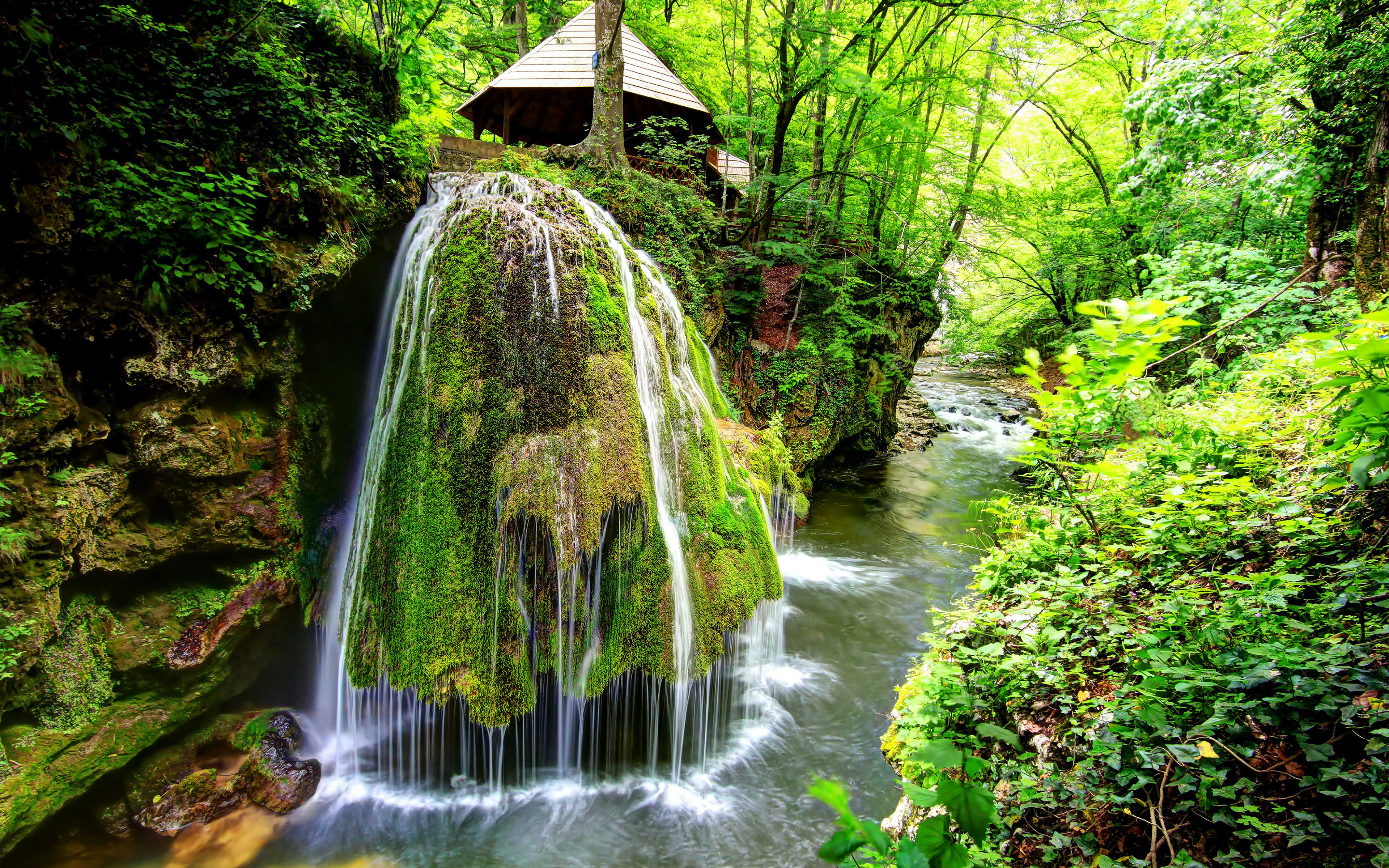 Téléchargez des papiers peints mobile Cascades, Forêt, La Nature, Terre/nature, Rivière, Chûte D'eau gratuitement.