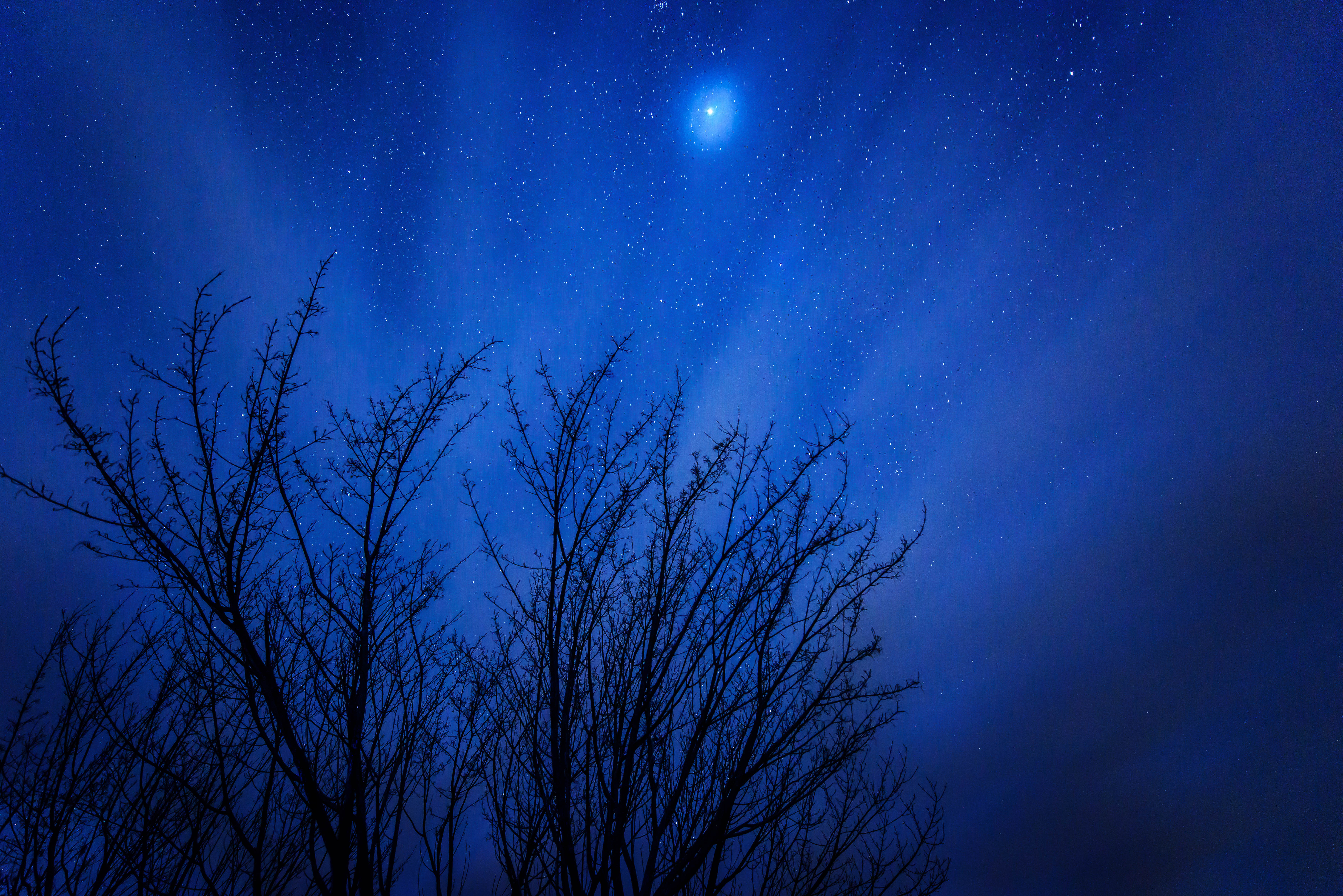 Free download wallpaper Nature, Trees, Night, Shine, Starry Sky, Brilliance, Stars on your PC desktop